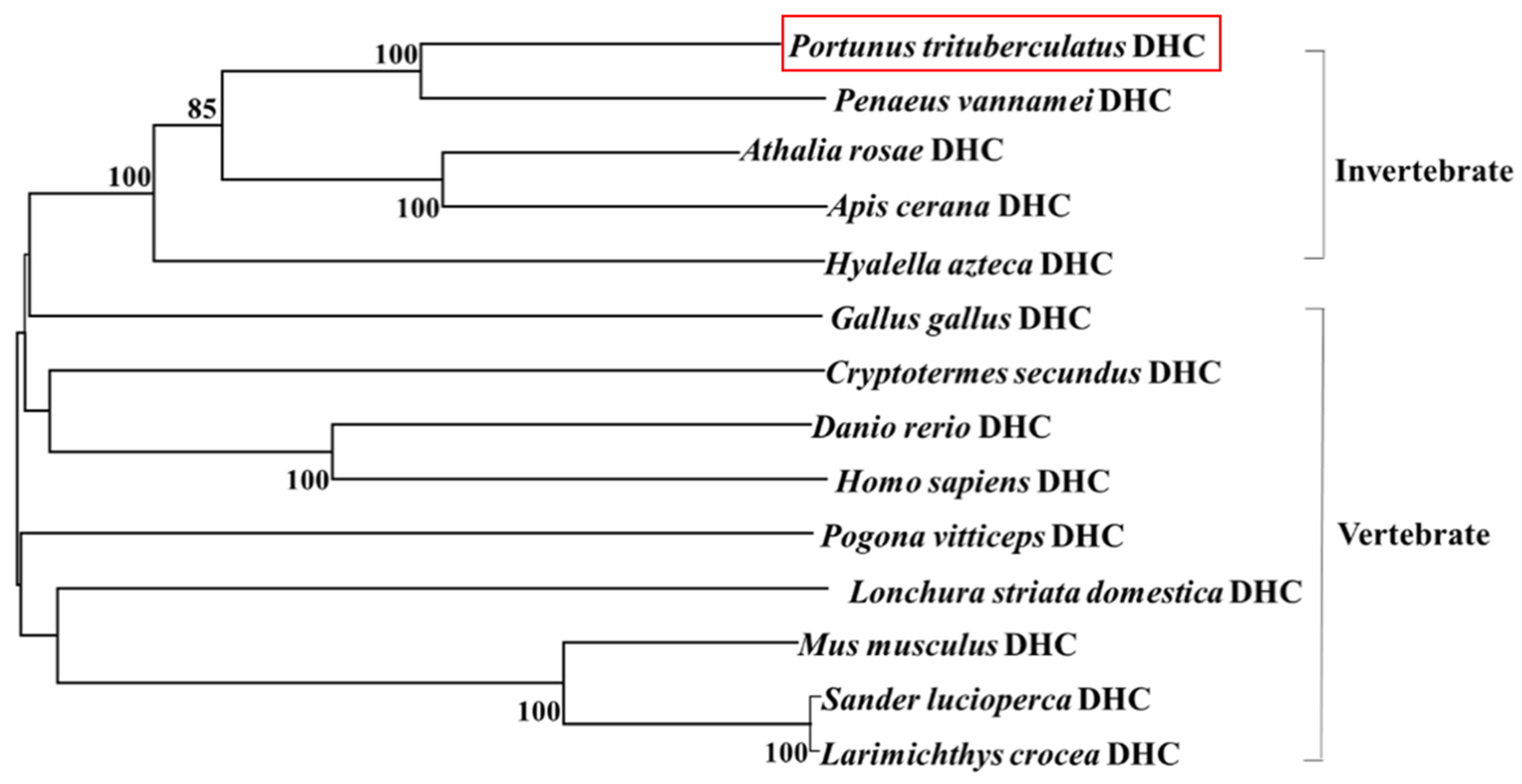 Animals 11 03582 g002