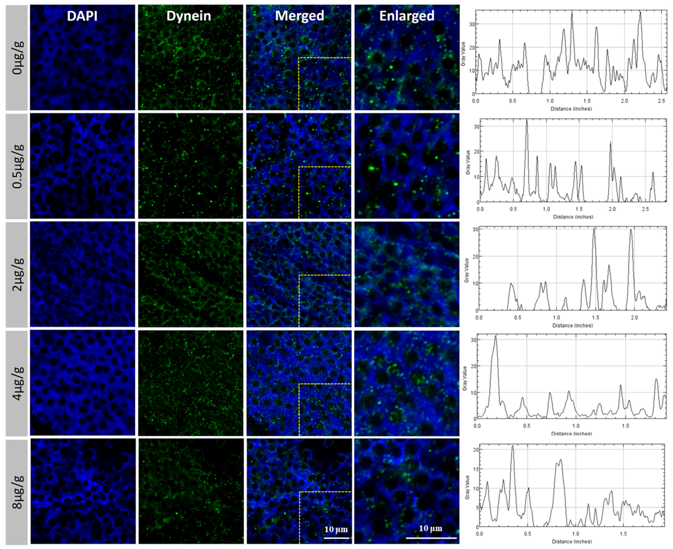 Animals 11 03582 g004