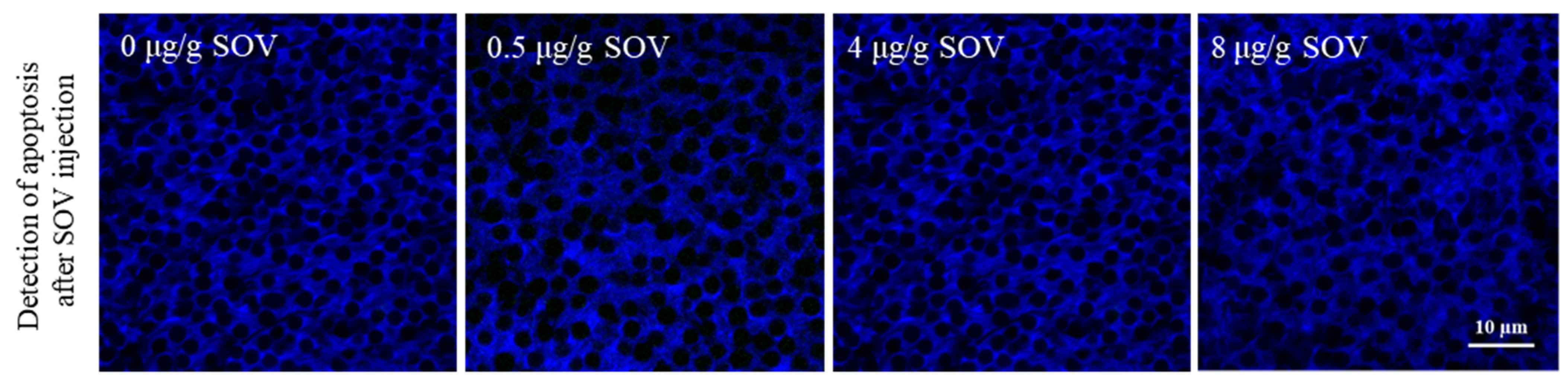 Animals 11 03582 g005