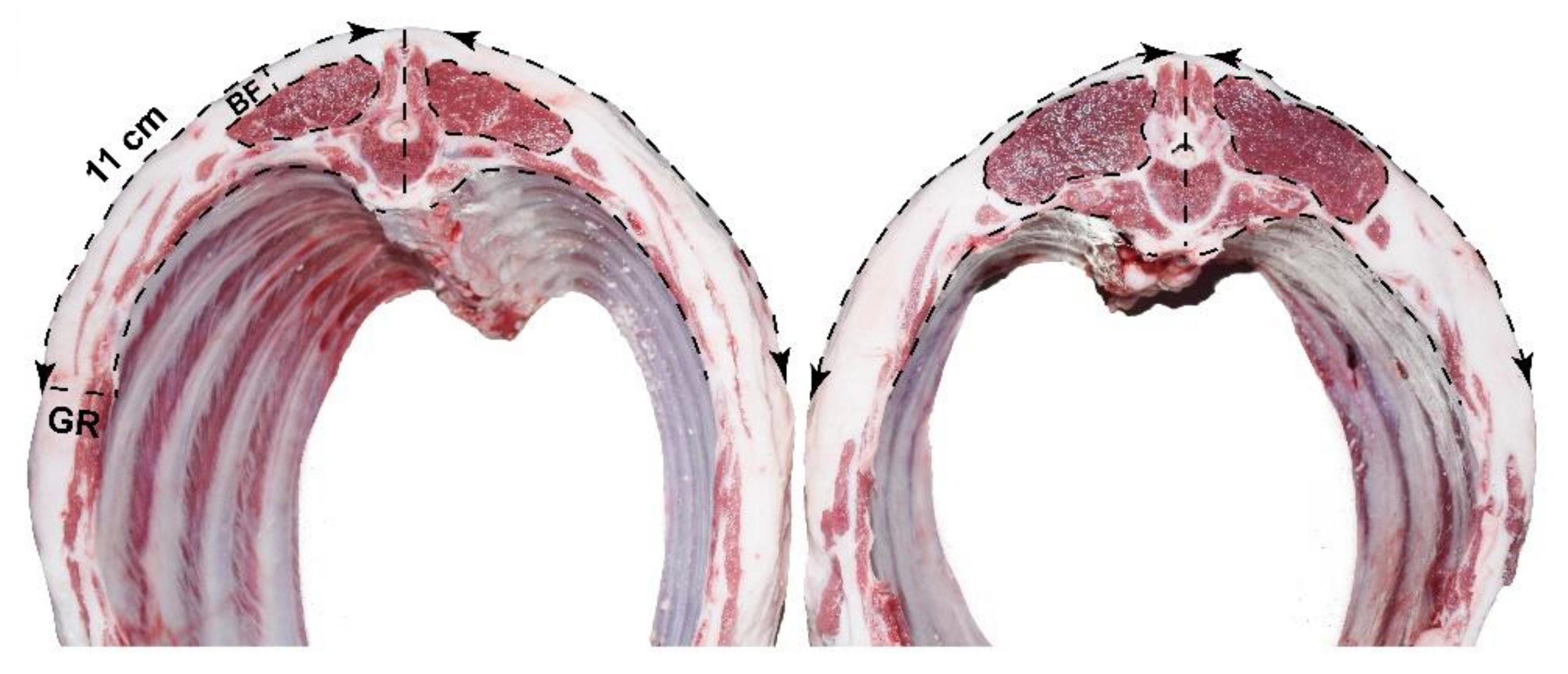 Animals 11 03584 g0a1