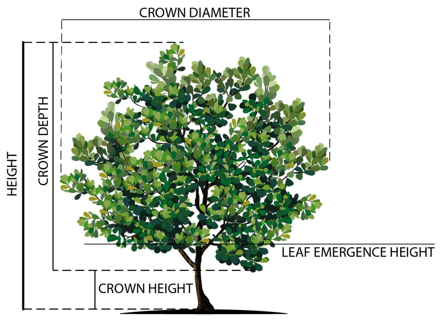 Animals 11 03585 g002