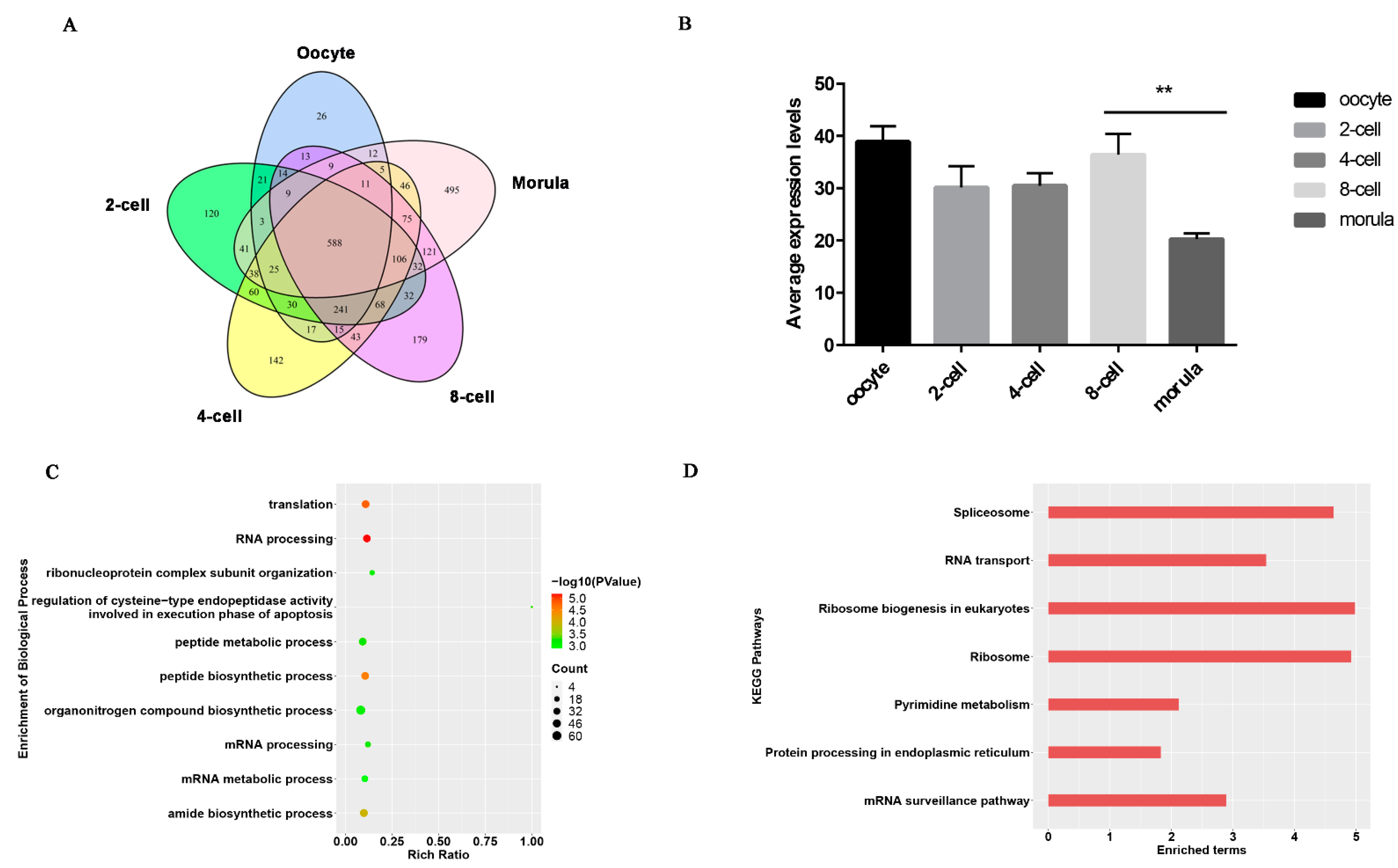 Animals 11 03592 g003 Animals 11 03592 g003