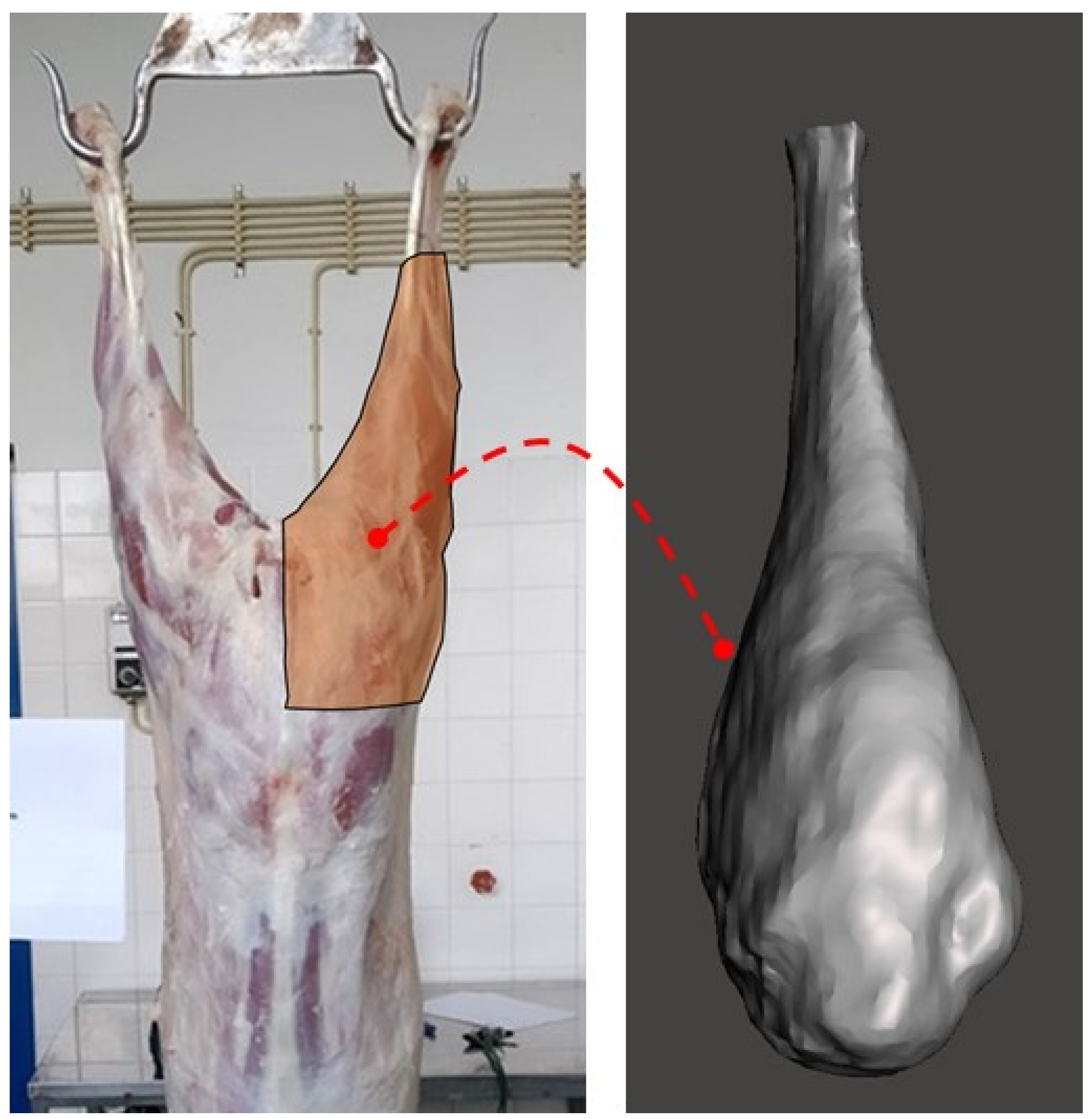 Animals 11 03595 g001