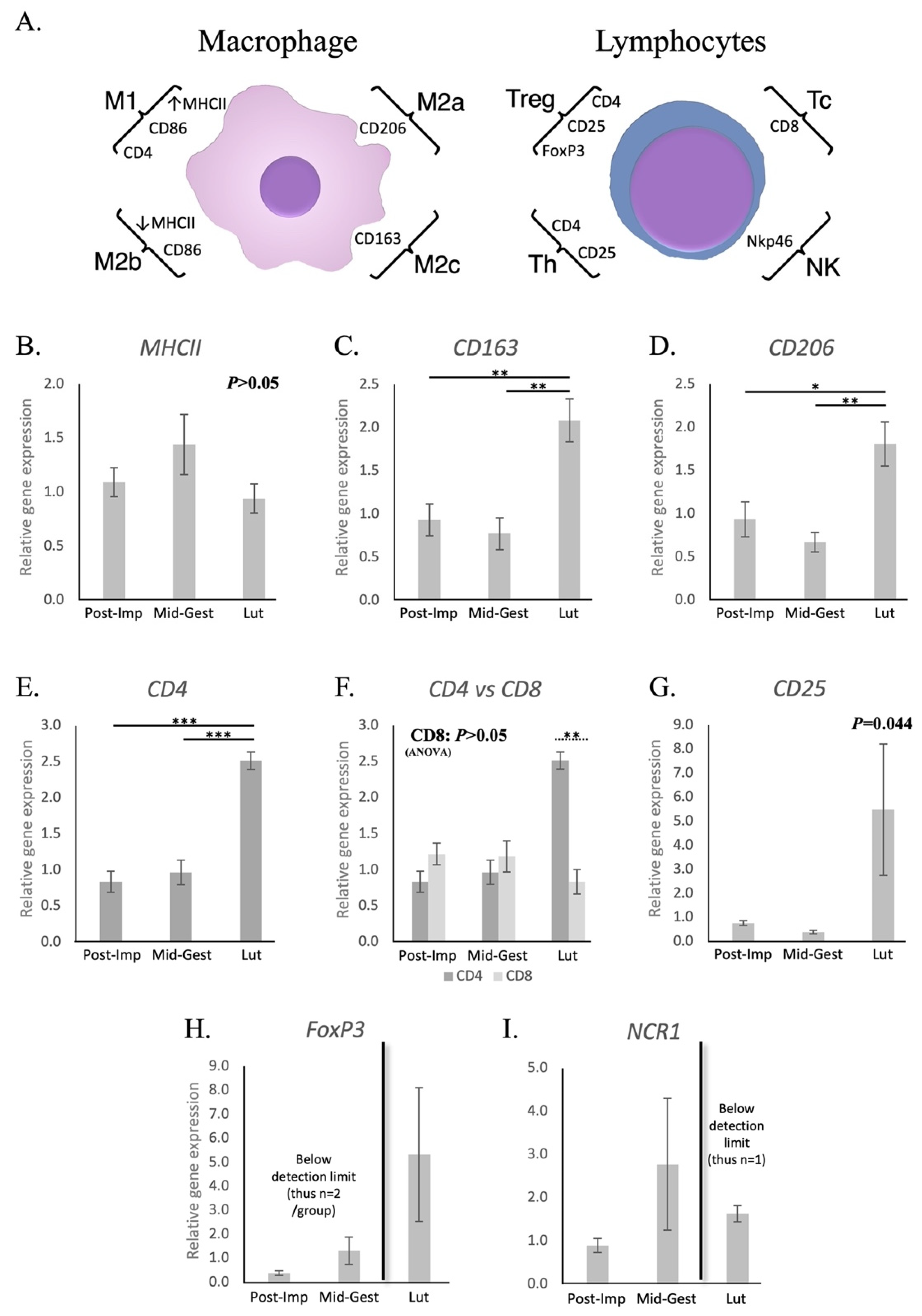 Animals 11 03598 g001