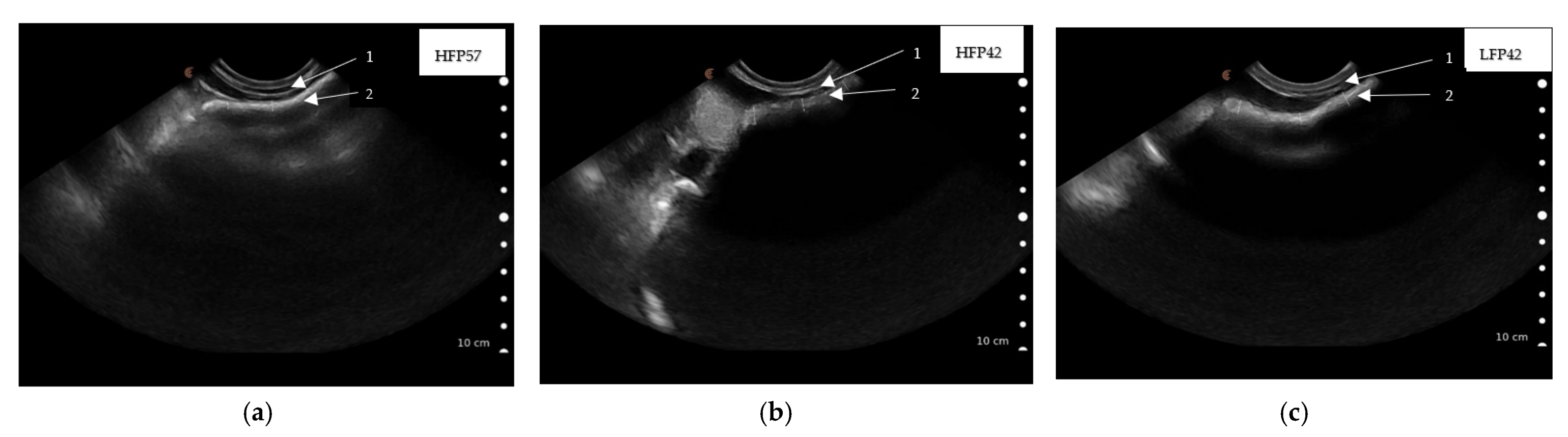 Animals 11 03606 g003 550
