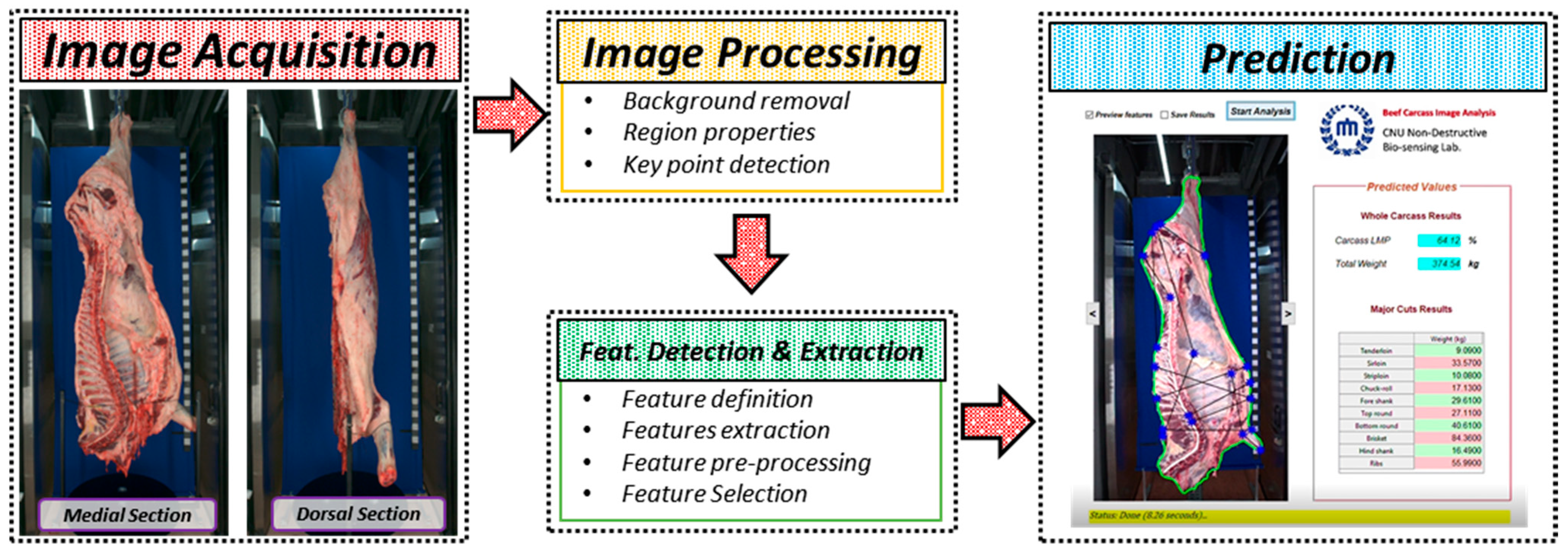Animals 12 00007 g002