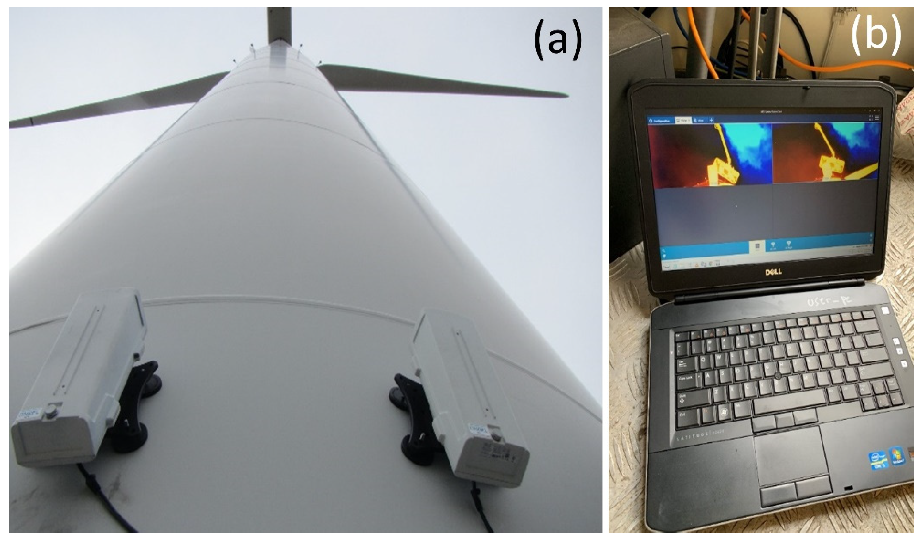 Animals 12 00009 g004 Animals 12 00009 g004