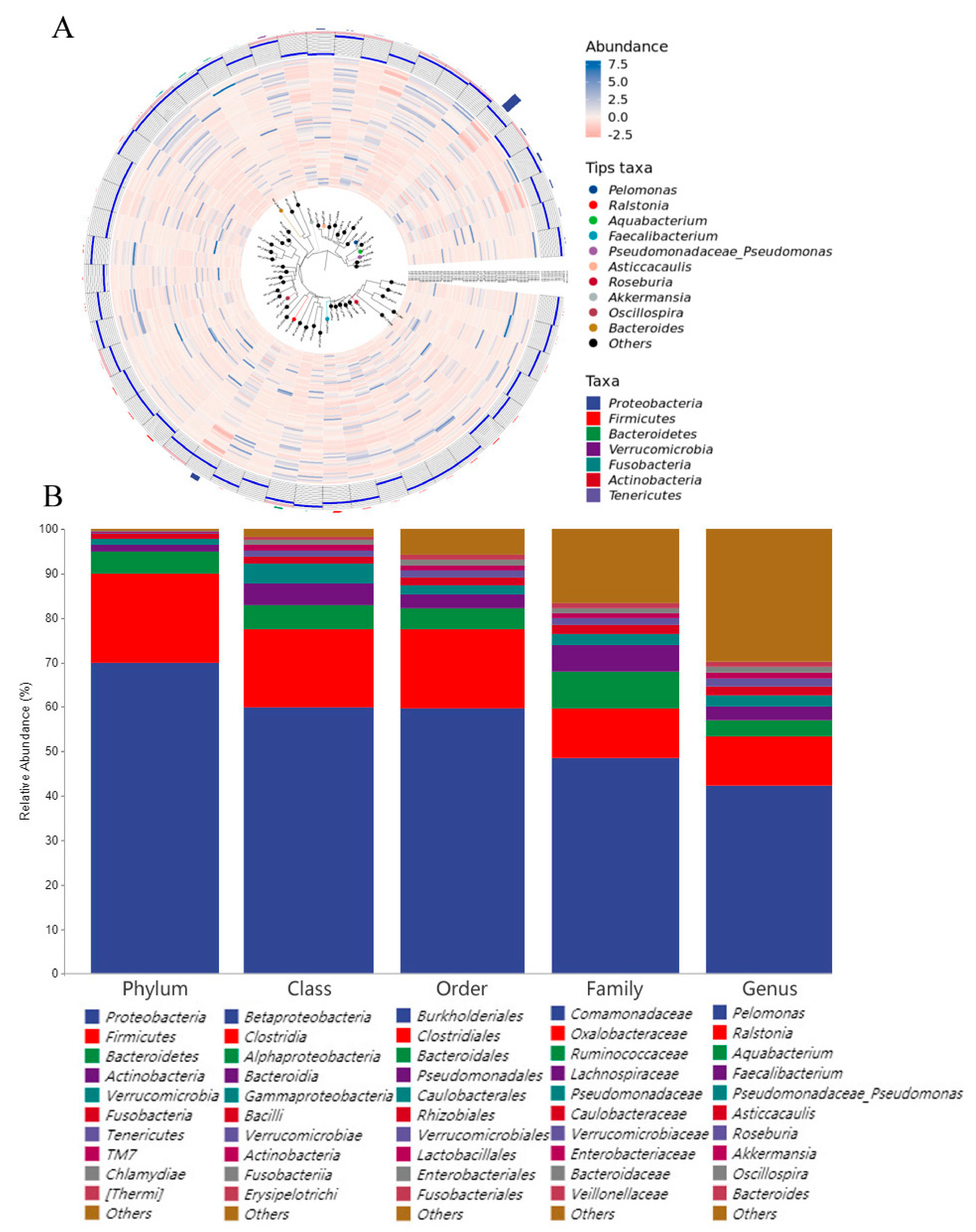 Animals 12 00016 g001 550