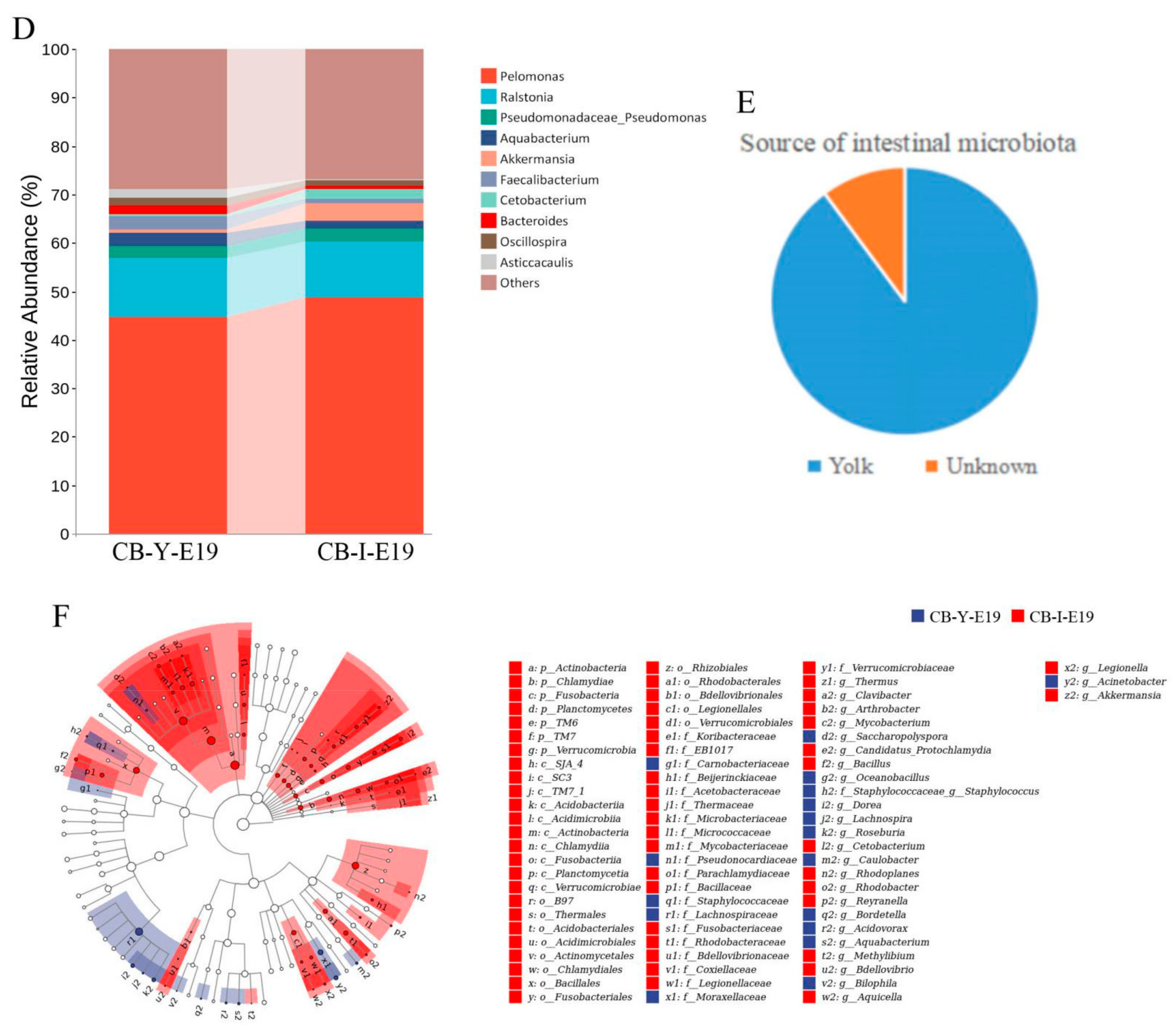 Animals 12 00016 g004b 550