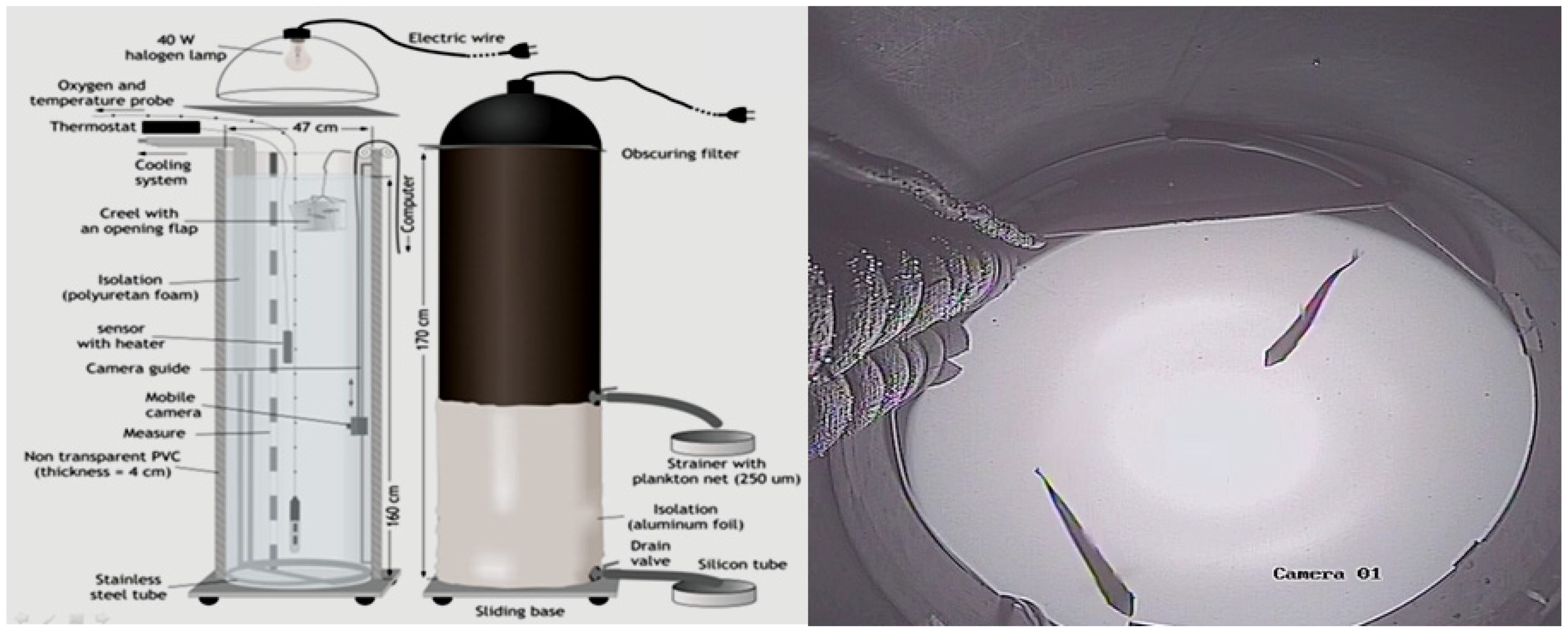 Animals 12 00017 g001