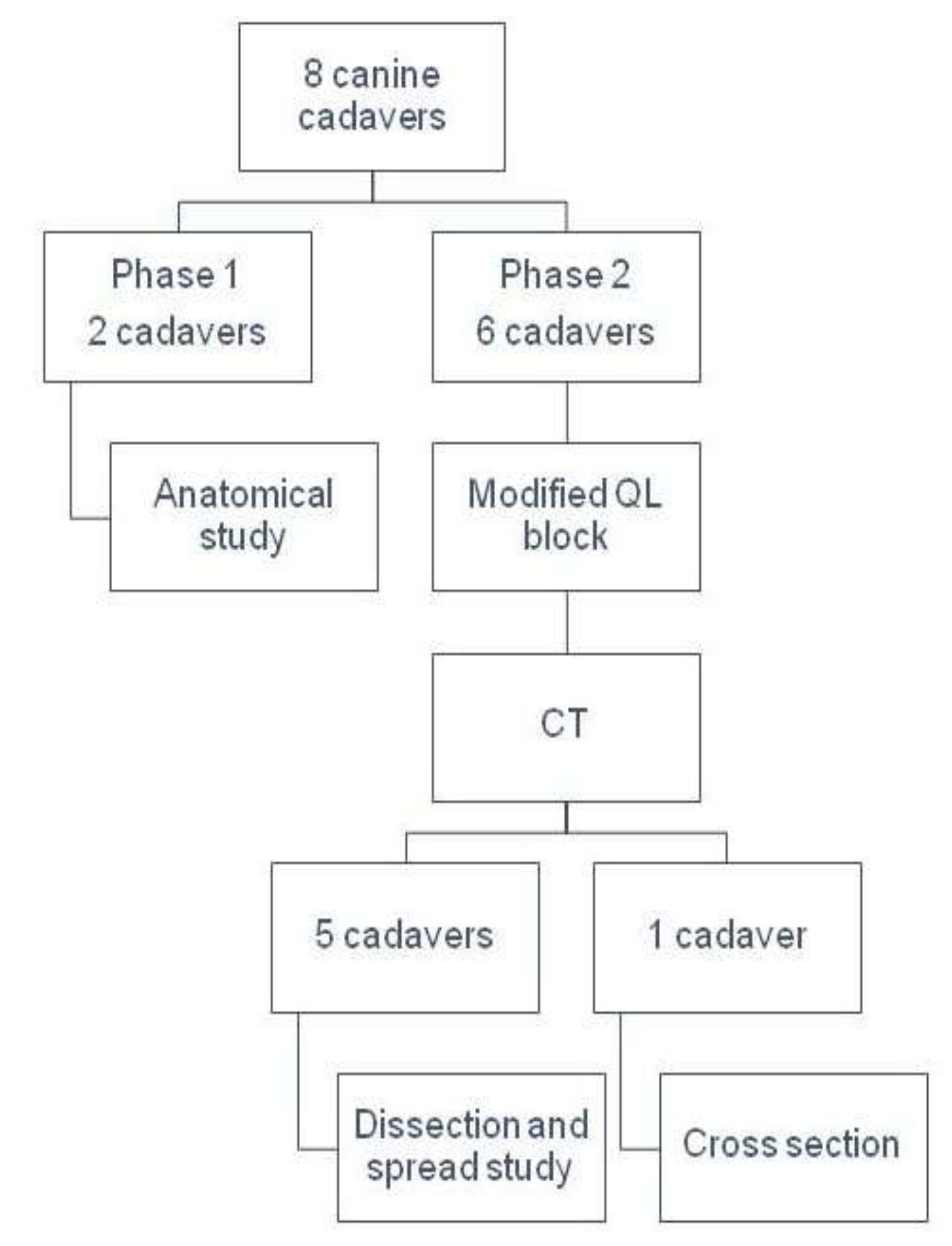 Animals 12 00018 g001 550
