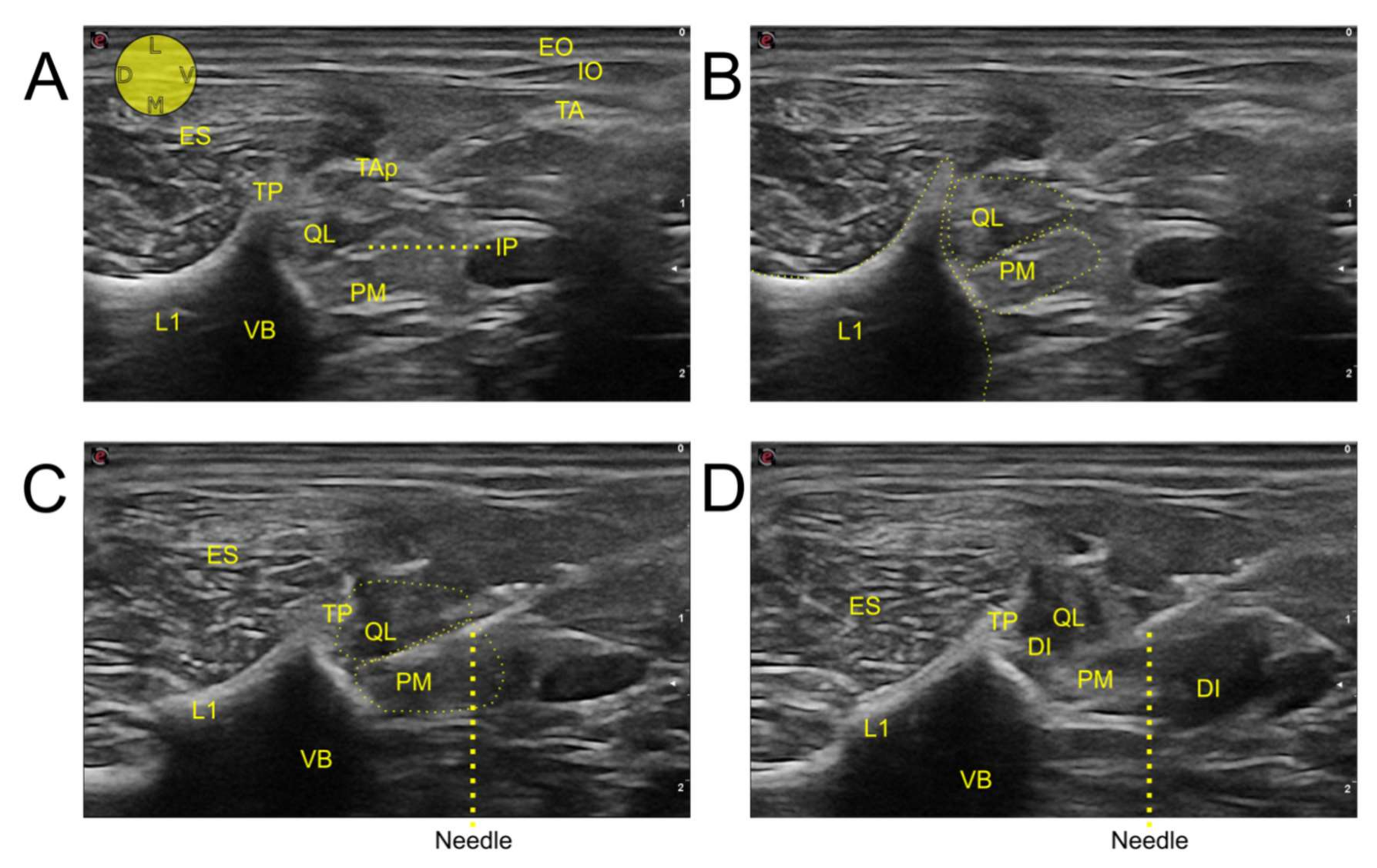 Animals 12 00018 g004 550