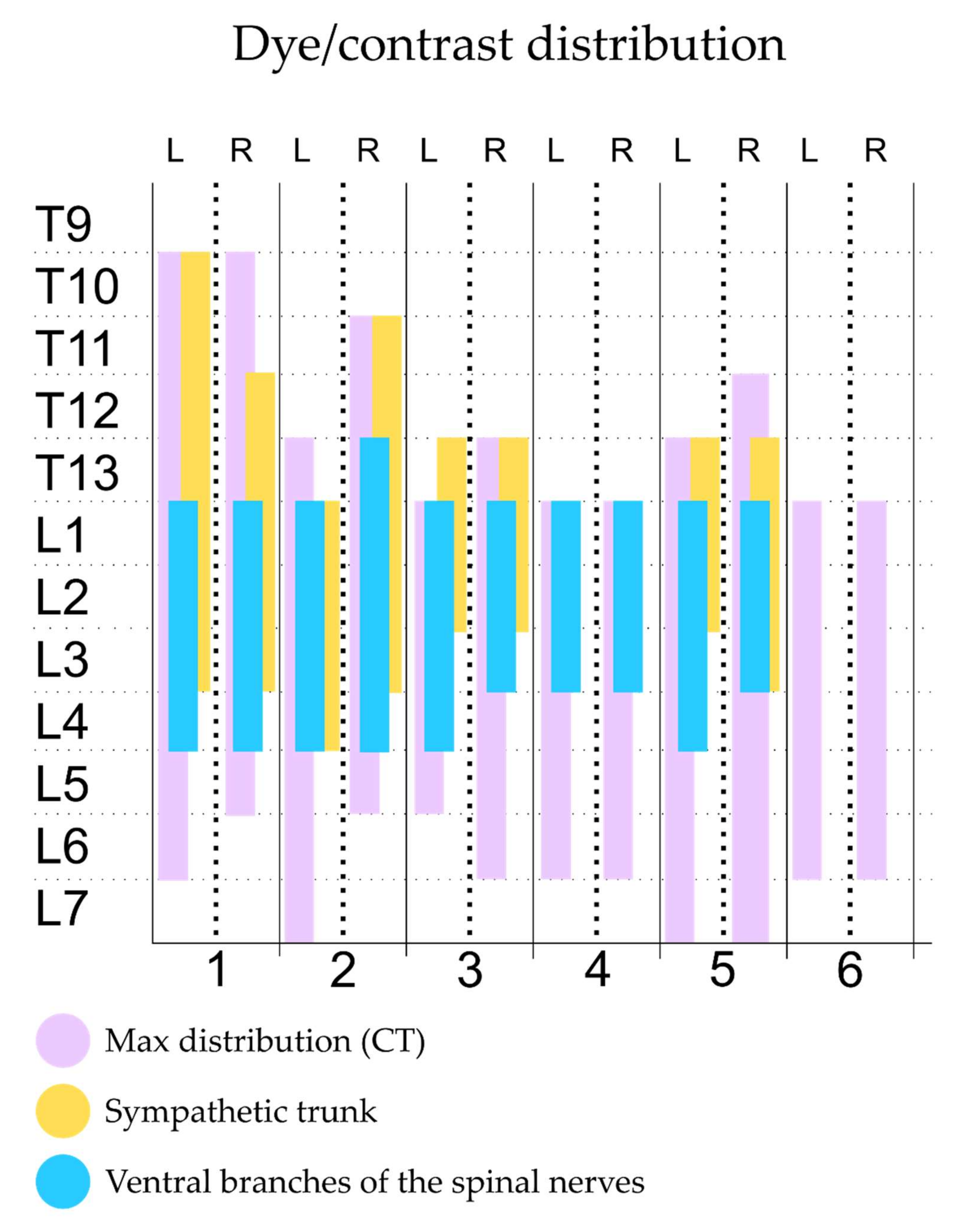 Animals Free Full Text Evaluation Of High Volume Injections Using A Modified Dorsal Quadratus Lumborum Block Approach In Canine Cadavers Html