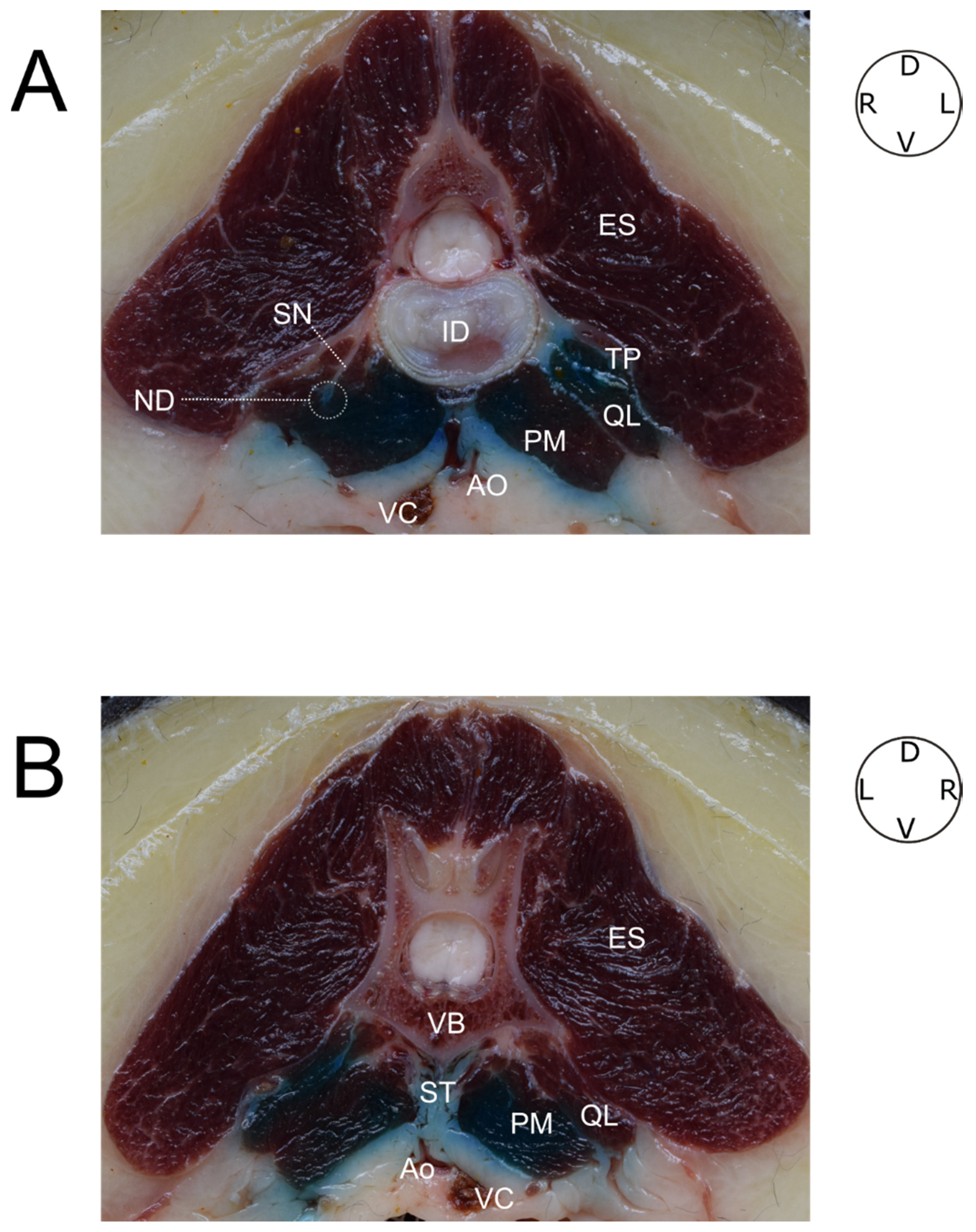 Animals 12 00018 g009 550