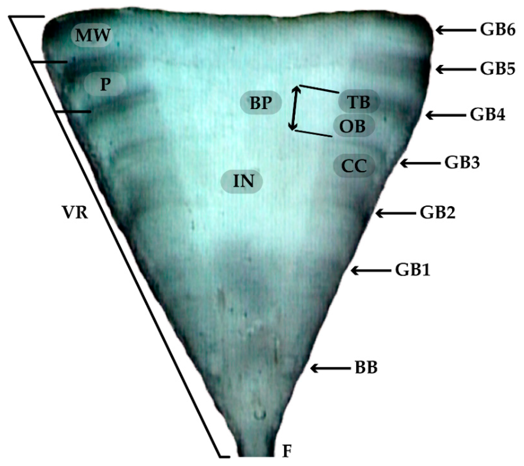 Animals 12 00019 g001