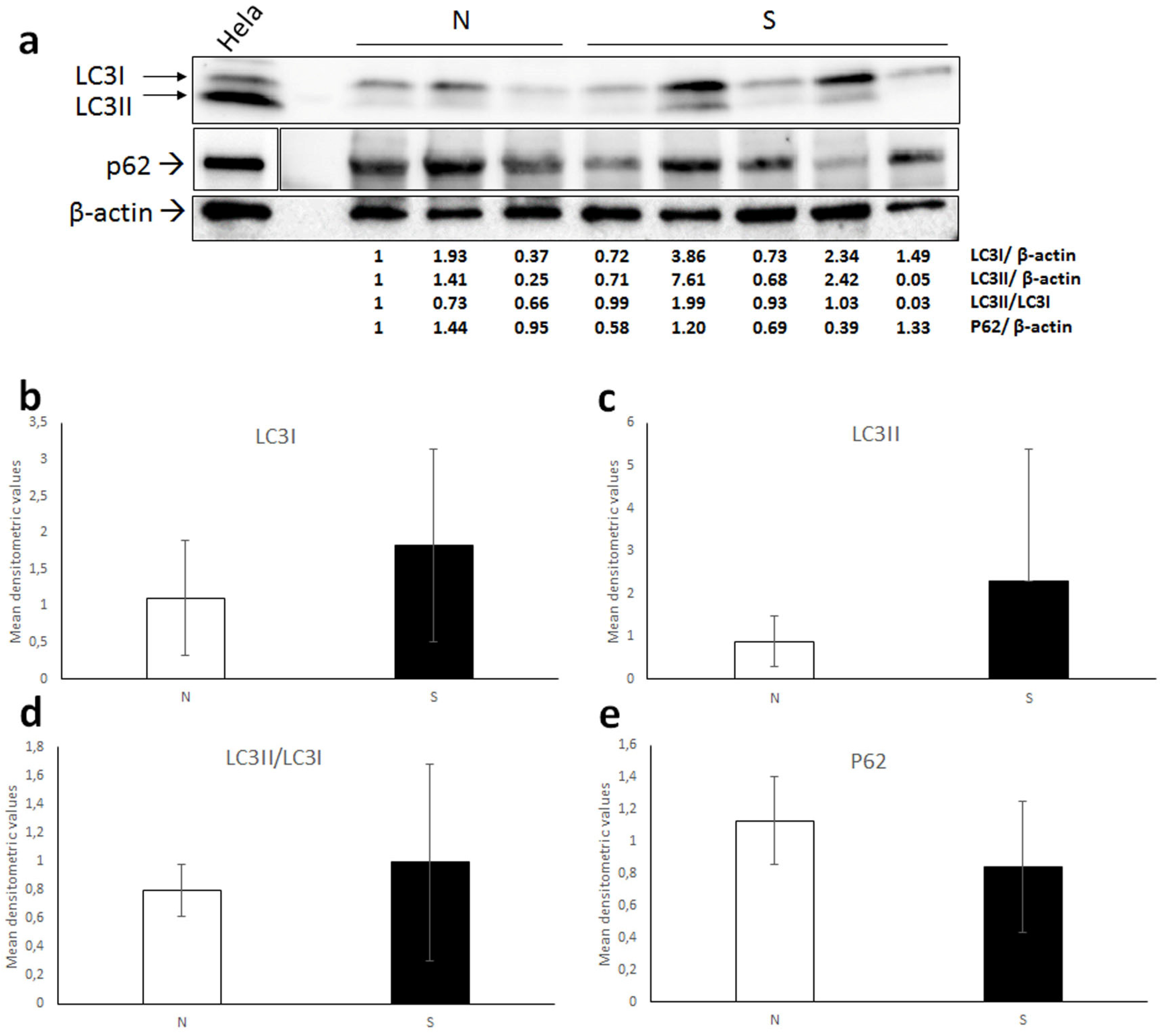 Animals 12 00020 g004