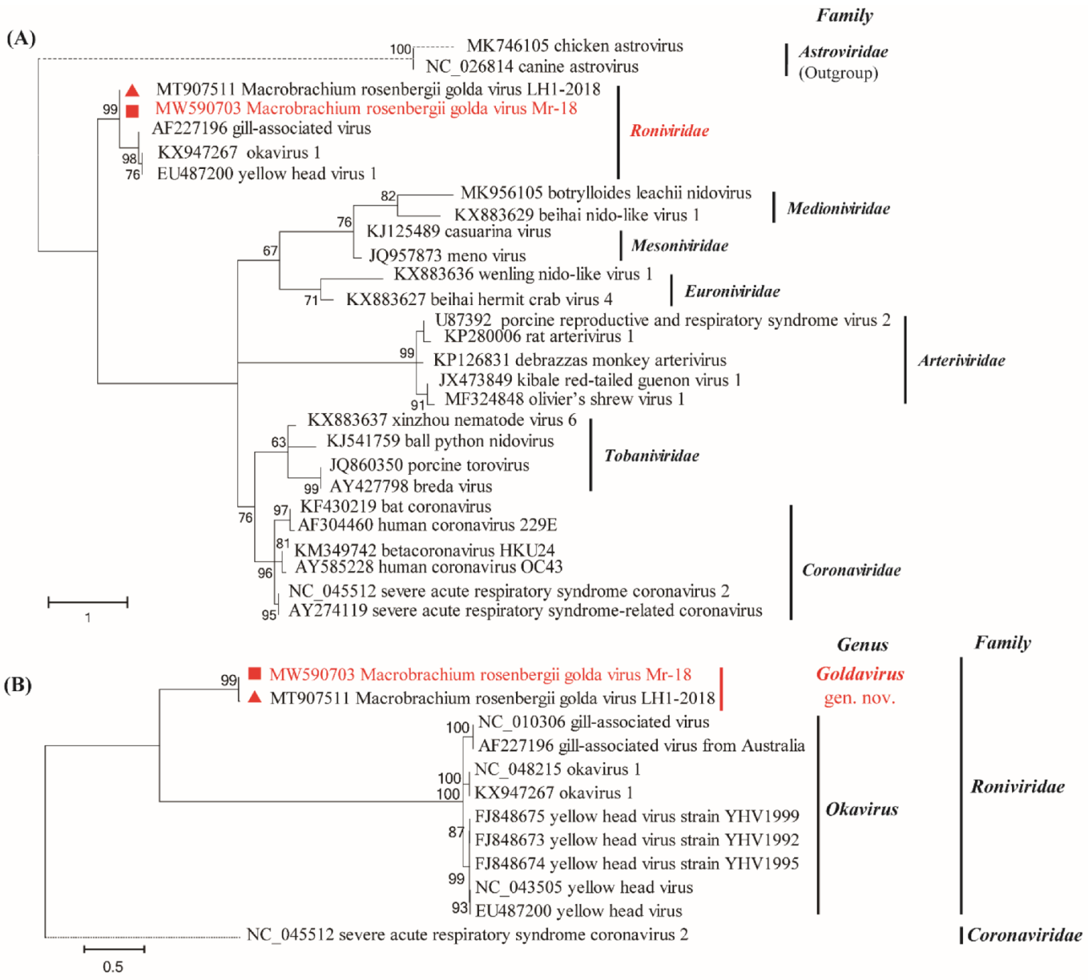 Animals 12 00027 g002 550