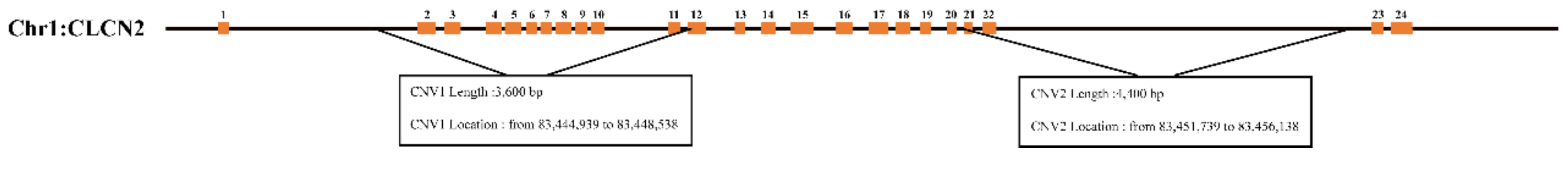 Animals 12 00041 g001