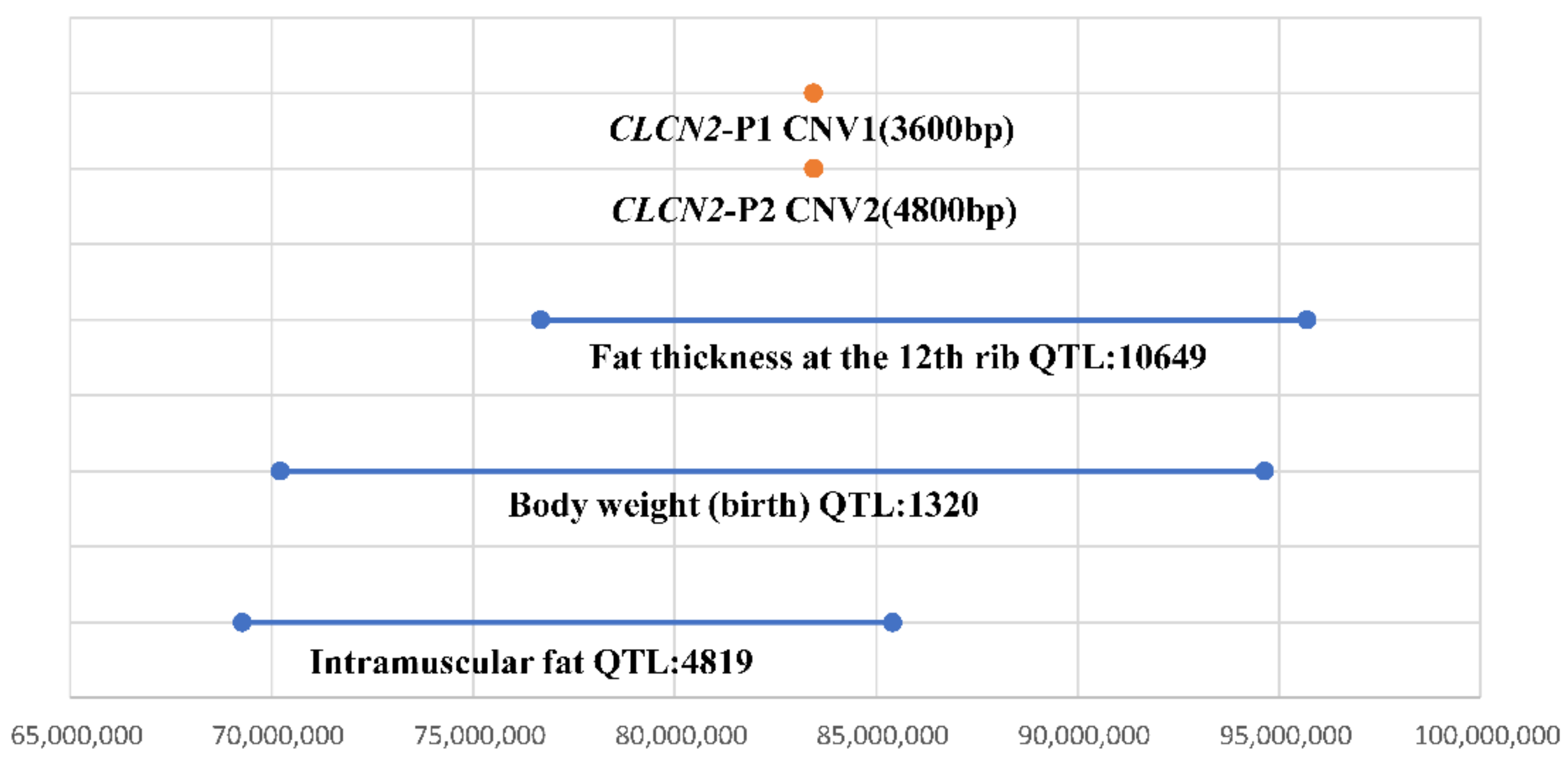 Animals 12 00041 g002