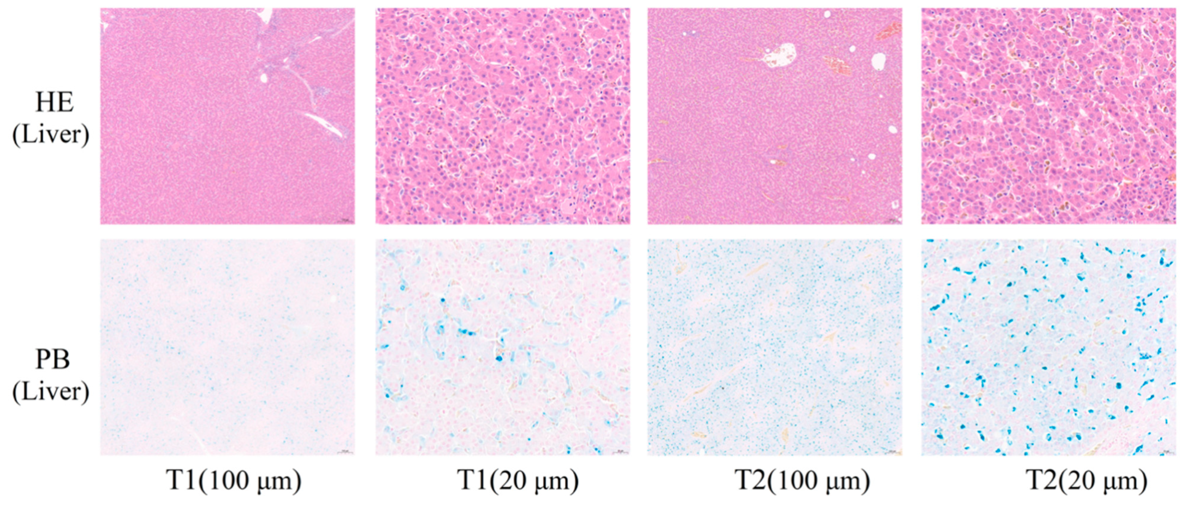 Animals 12 00052 g001 550