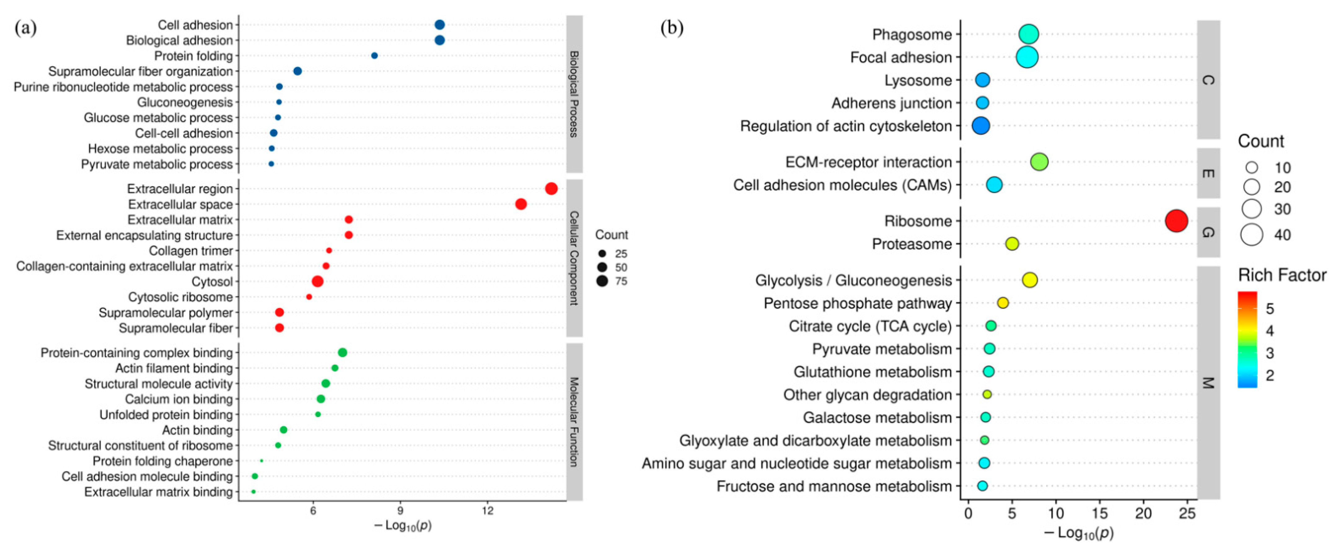 Animals 12 00052 g004 550