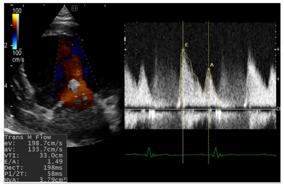 Animals 12 00056 g002 Animals 12 00056 g002