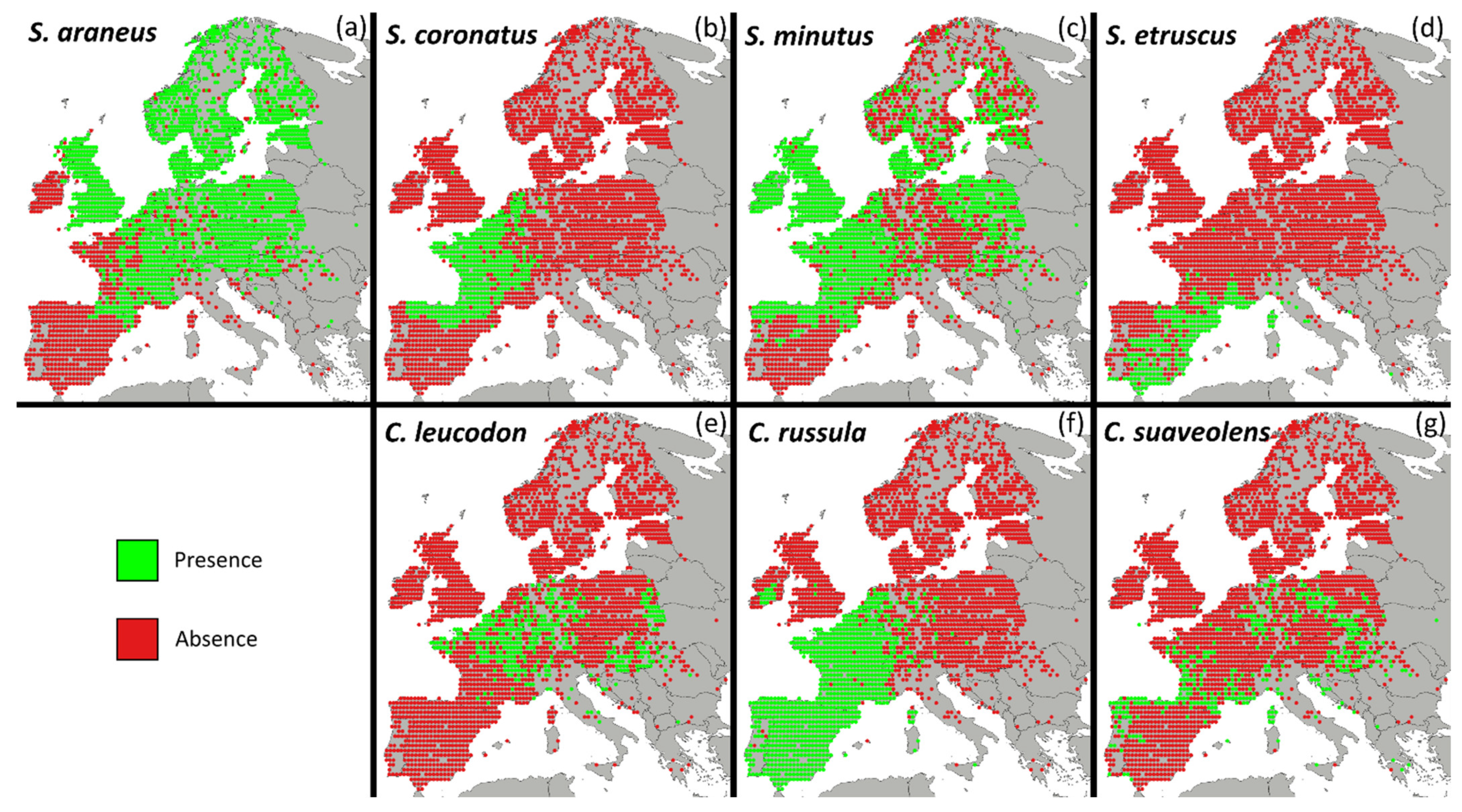 Animals 12 00057 g001