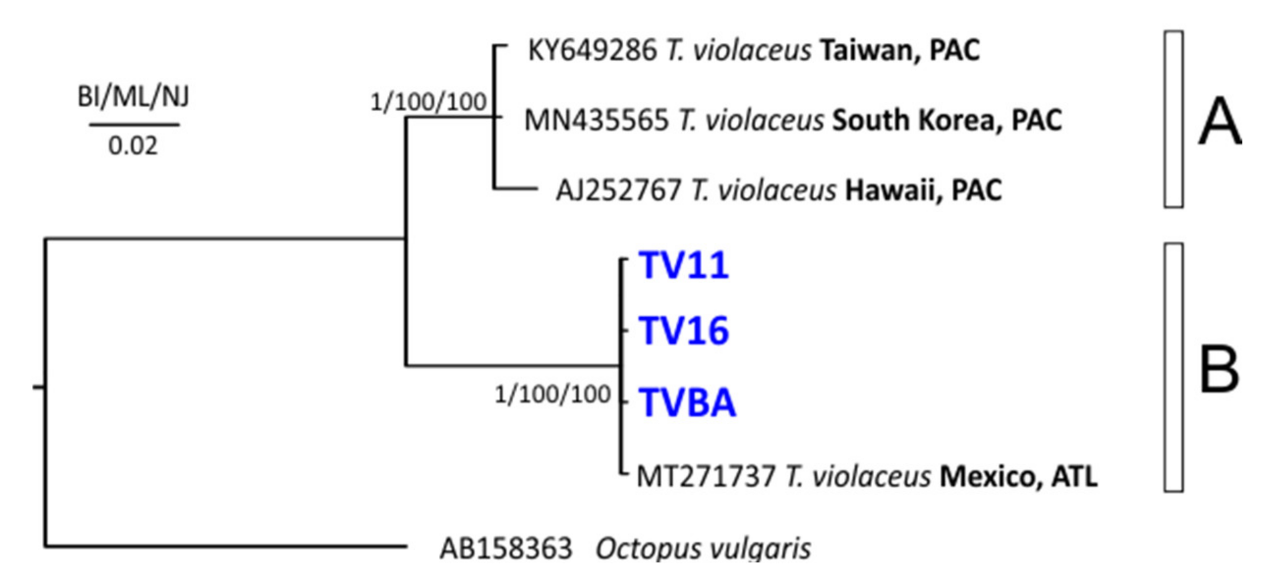 Animals 12 00080 g002 Animals 12 00080 g002