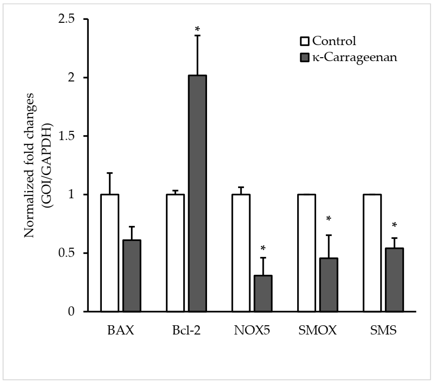 Animals 12 00088 g004