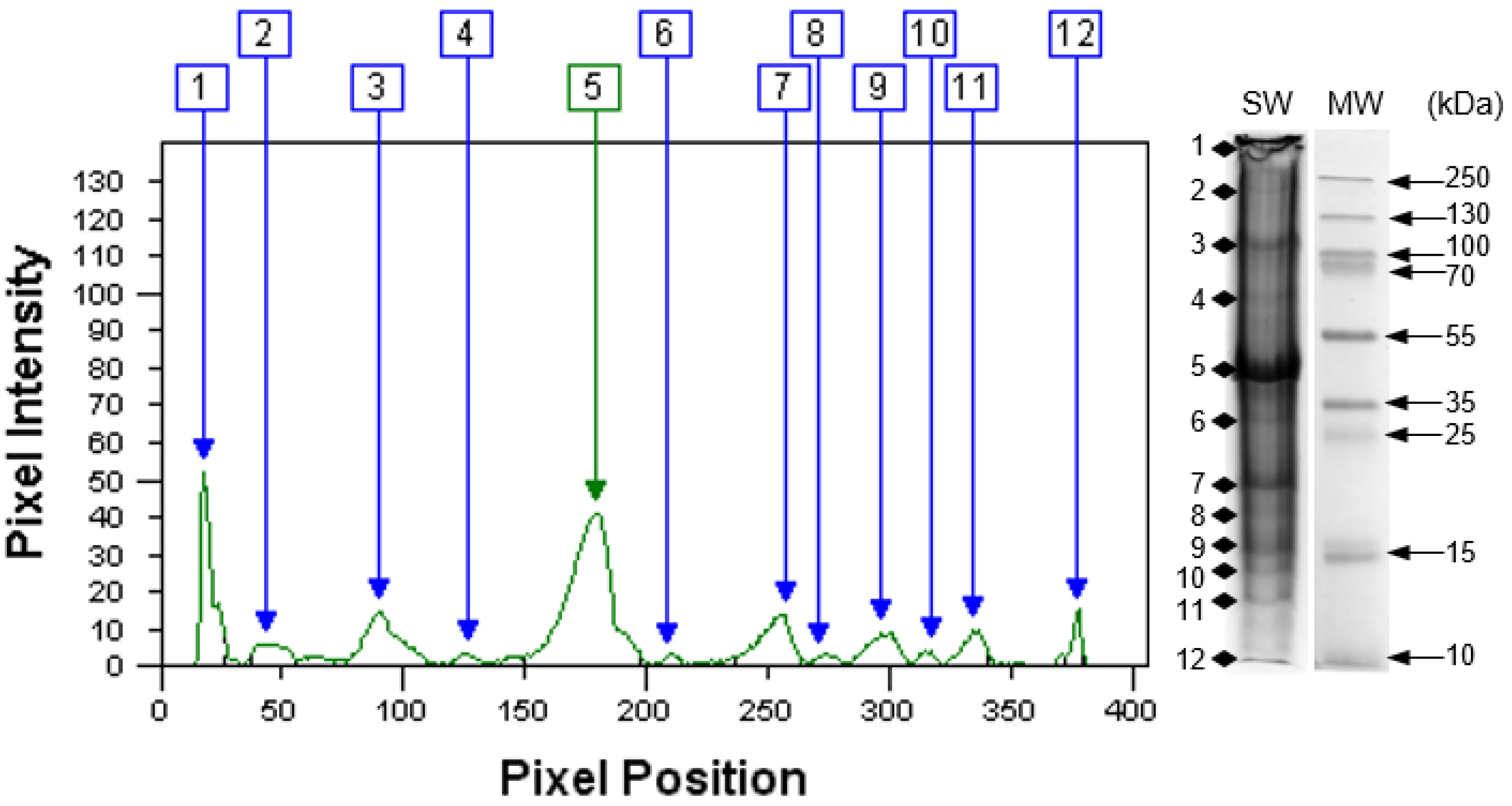 Animals 12 00090 g003 550