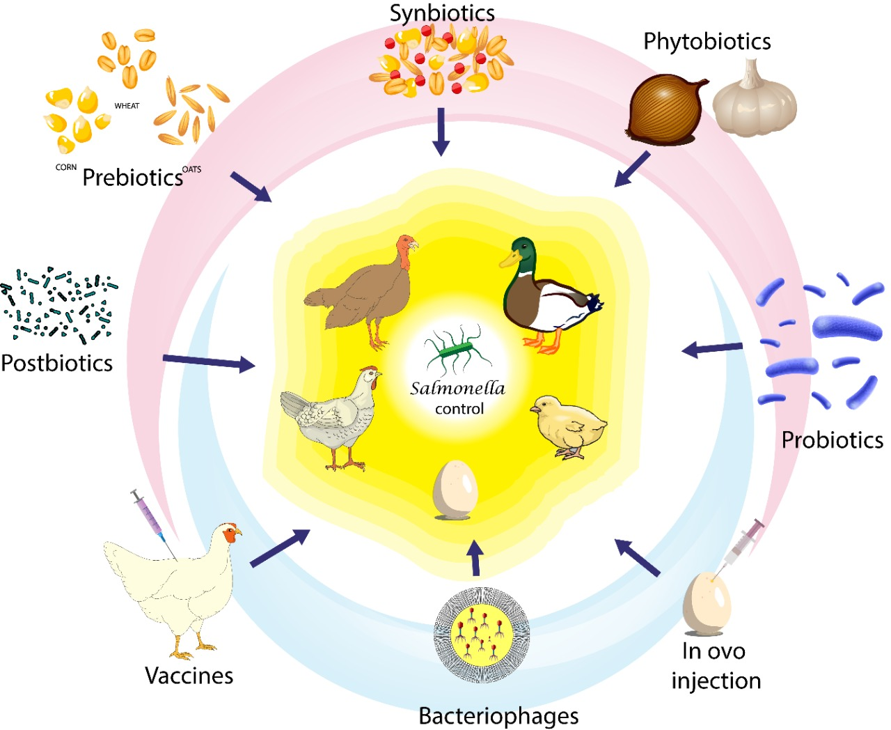 animals-free-full-text-non-antibiotics-strategies-to-control