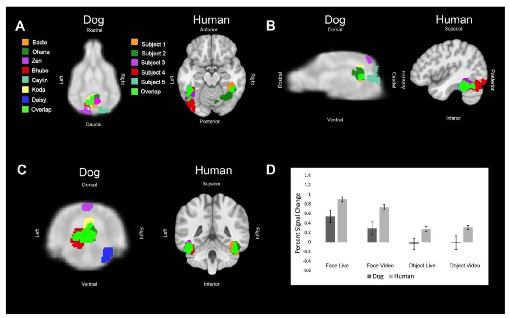Animals 12 00108 g002 550