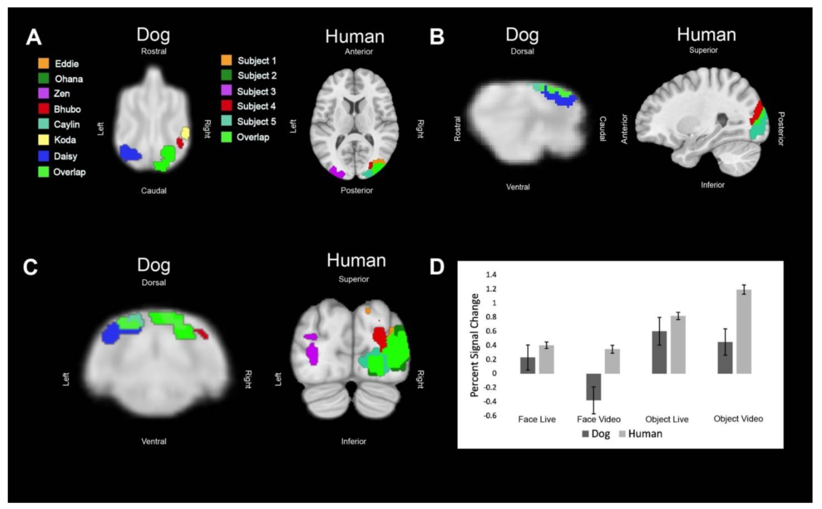 Animals 12 00108 g004 550