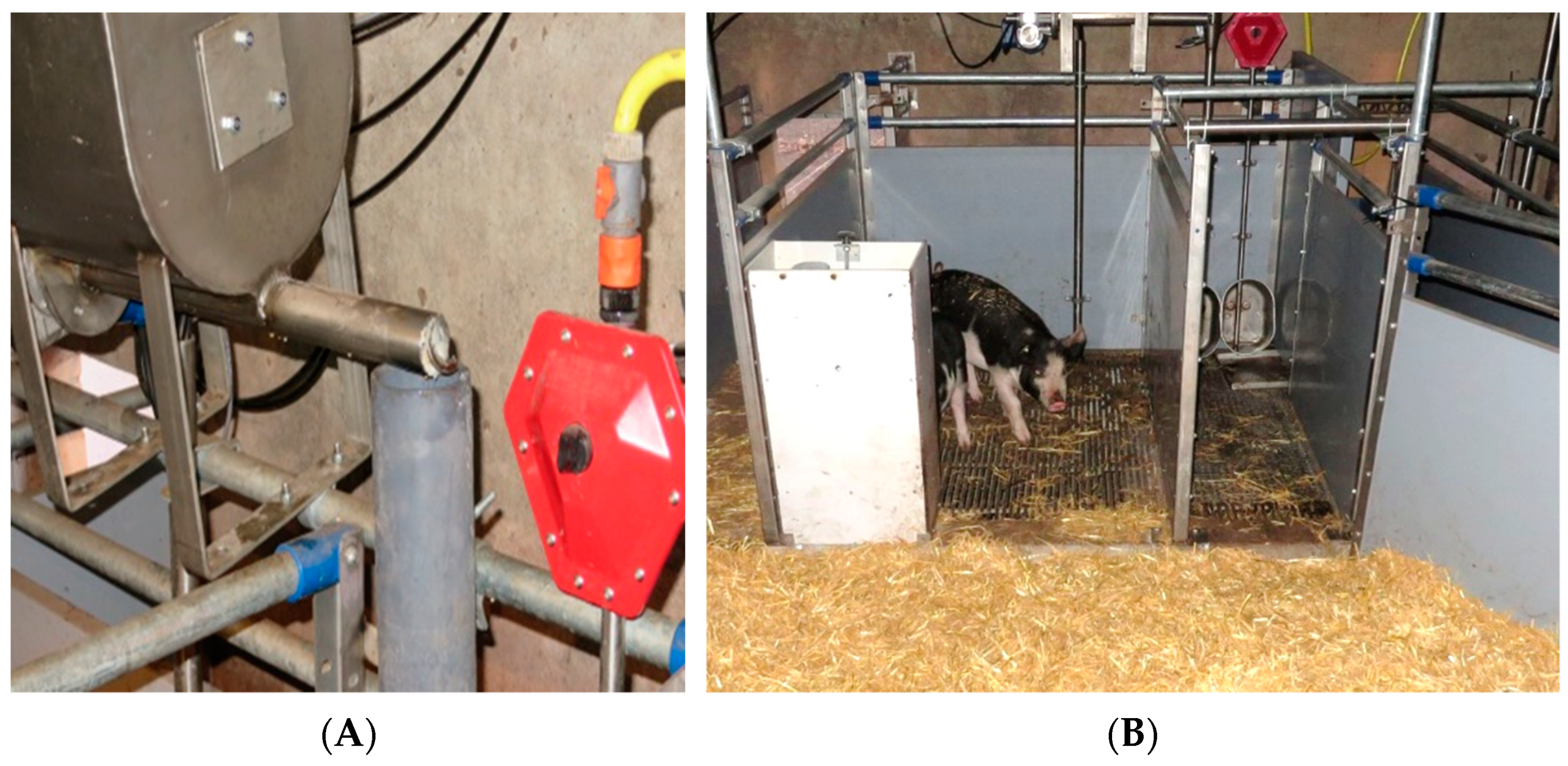 Animals 12 00113 g001 550