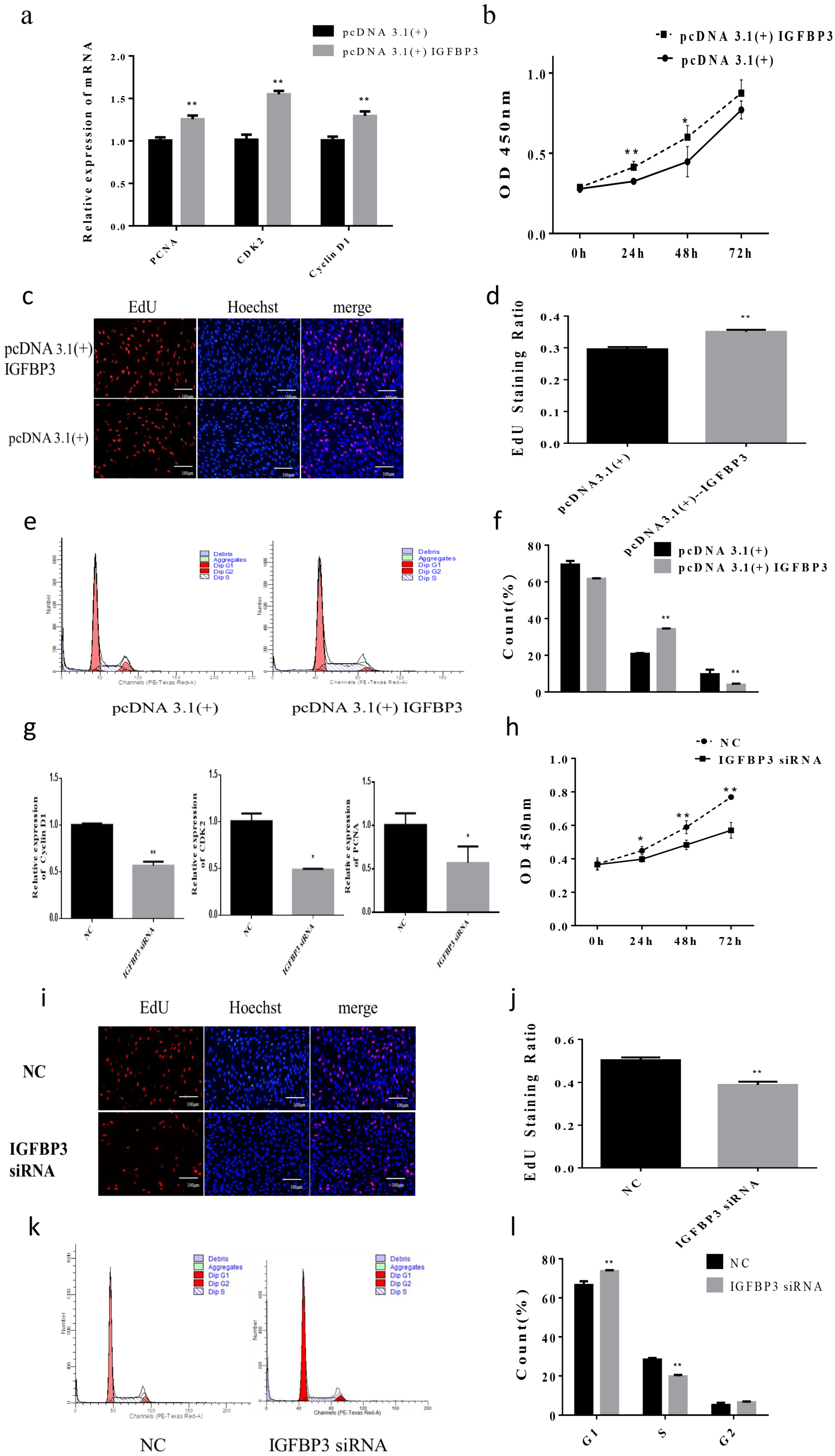 Animals 12 00114 g004