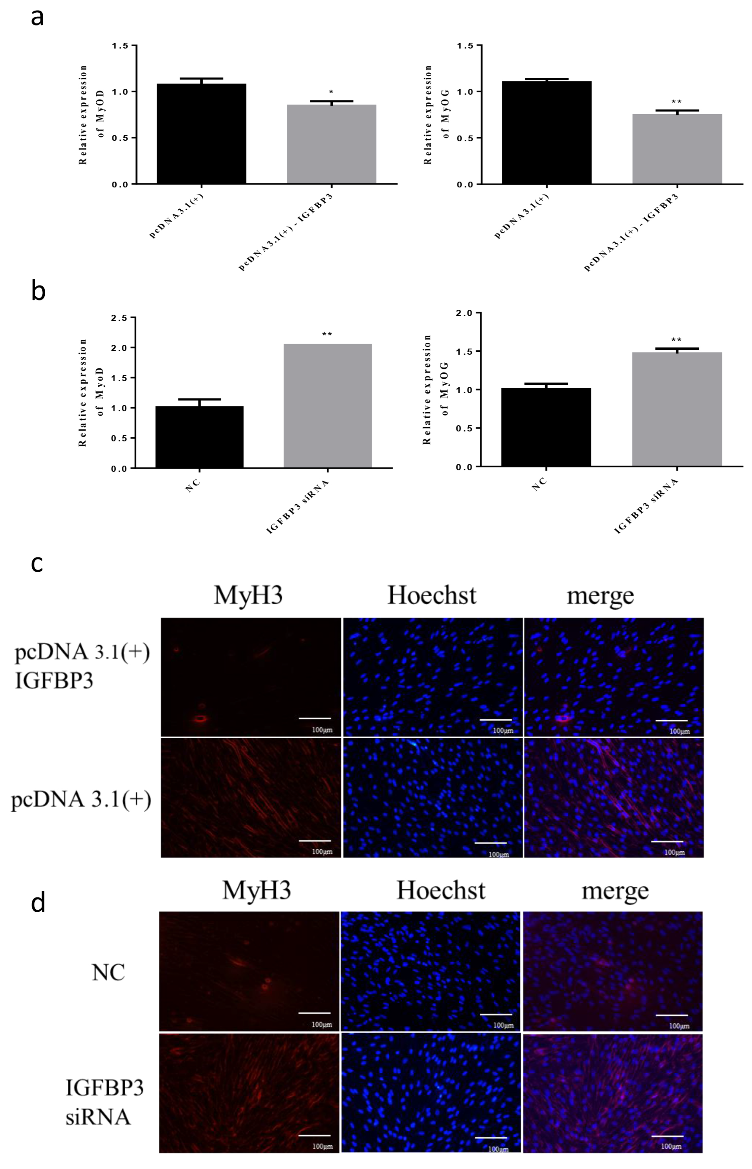 Animals 12 00114 g005
