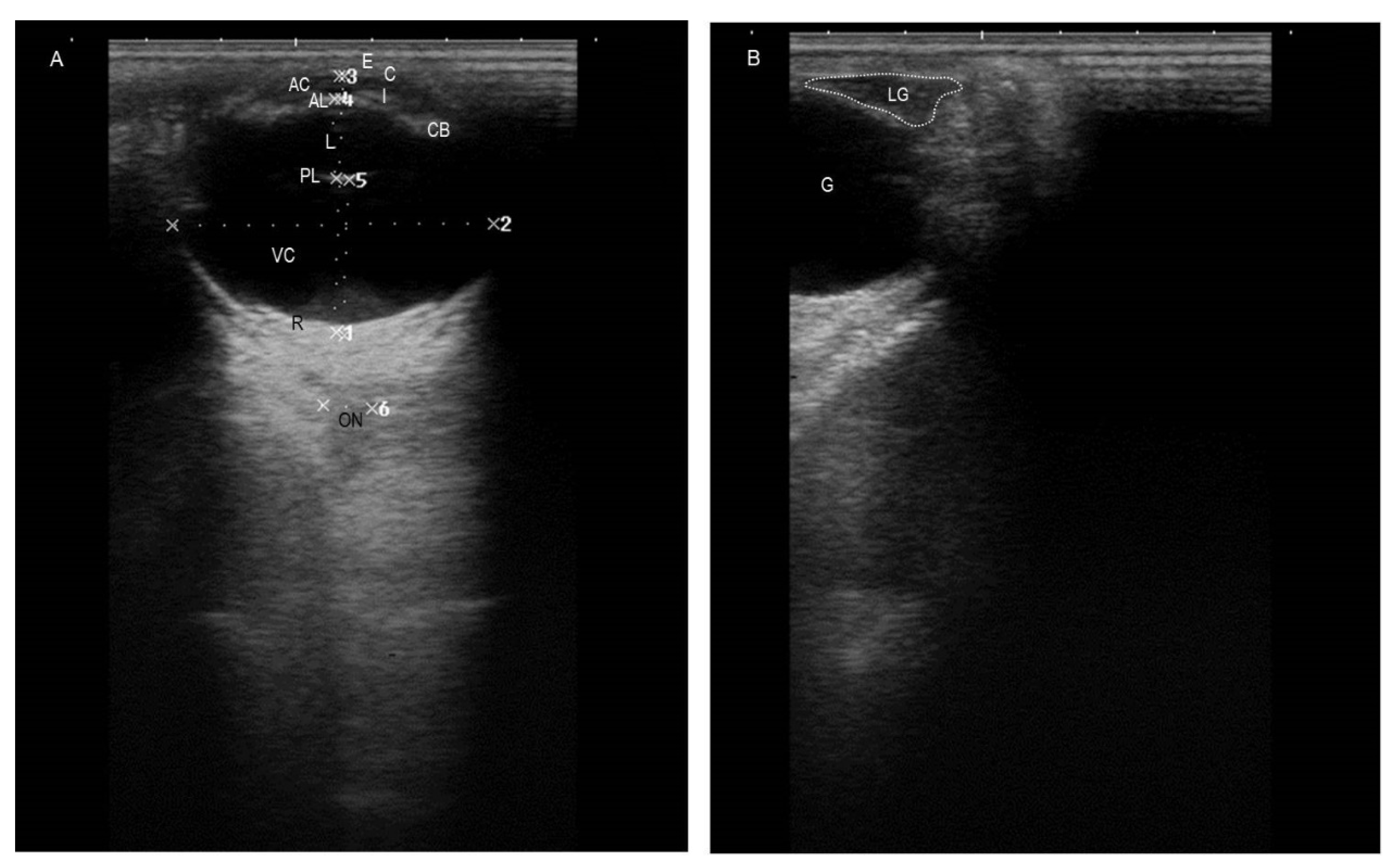 Animals 12 00132 g001 Animals 12 00132 g001