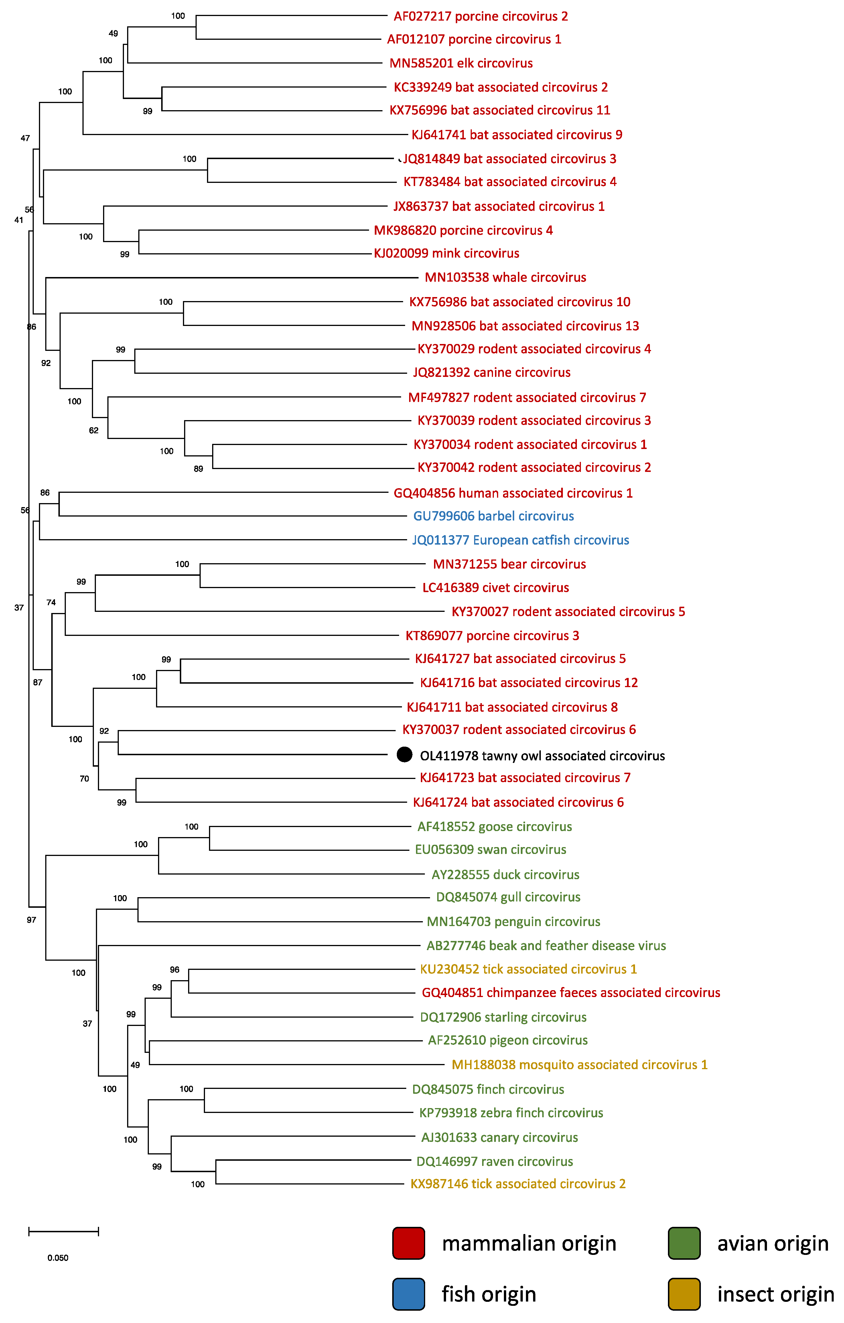 Animals 12 00135 g001