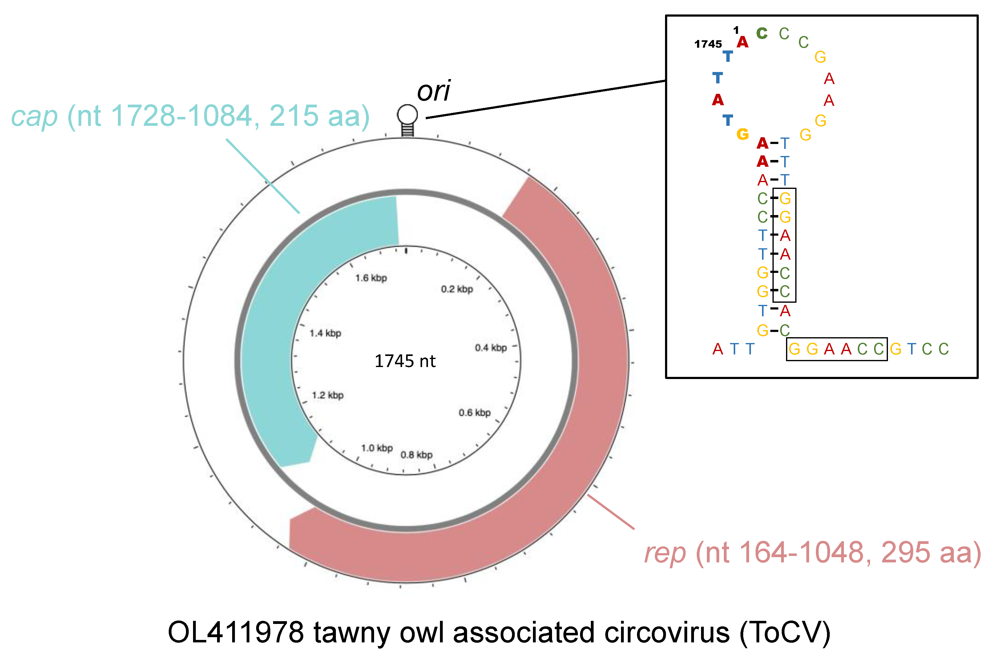 Animals 12 00135 g003