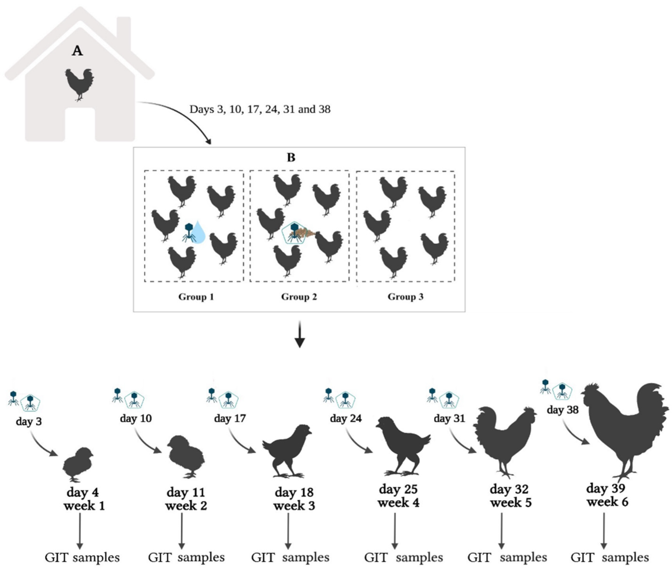 Animals 12 00144 g001 550