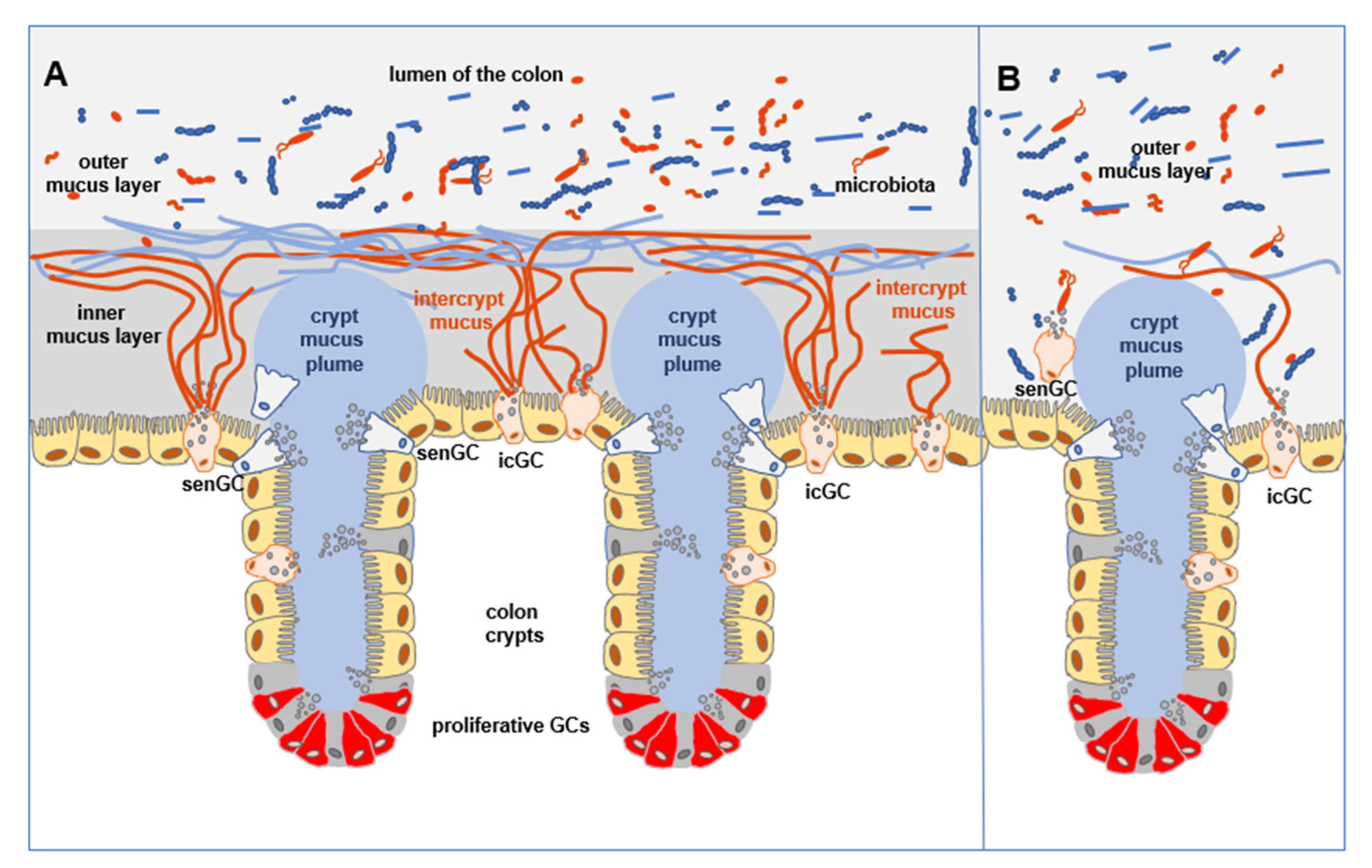 Animals 12 00145 g002 550