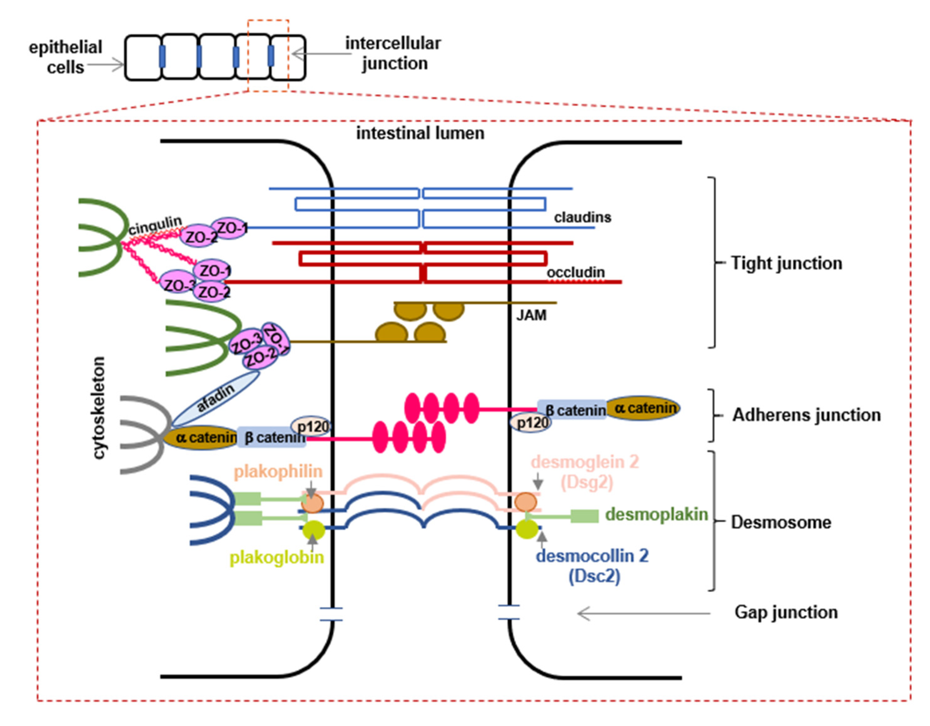 Animals 12 00145 g003 550