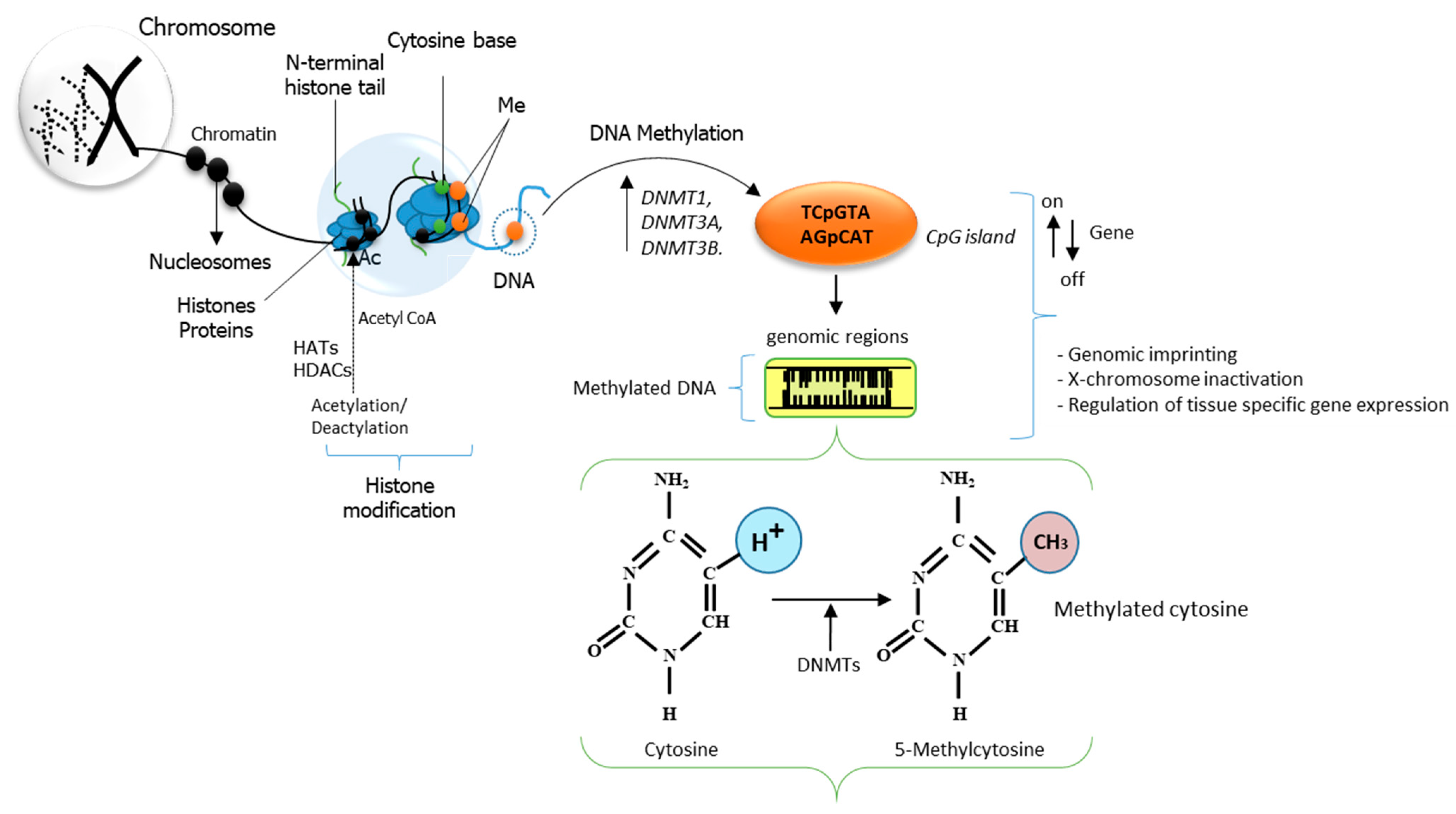 Animals 12 00150 g003 Animals 12 00150 g003