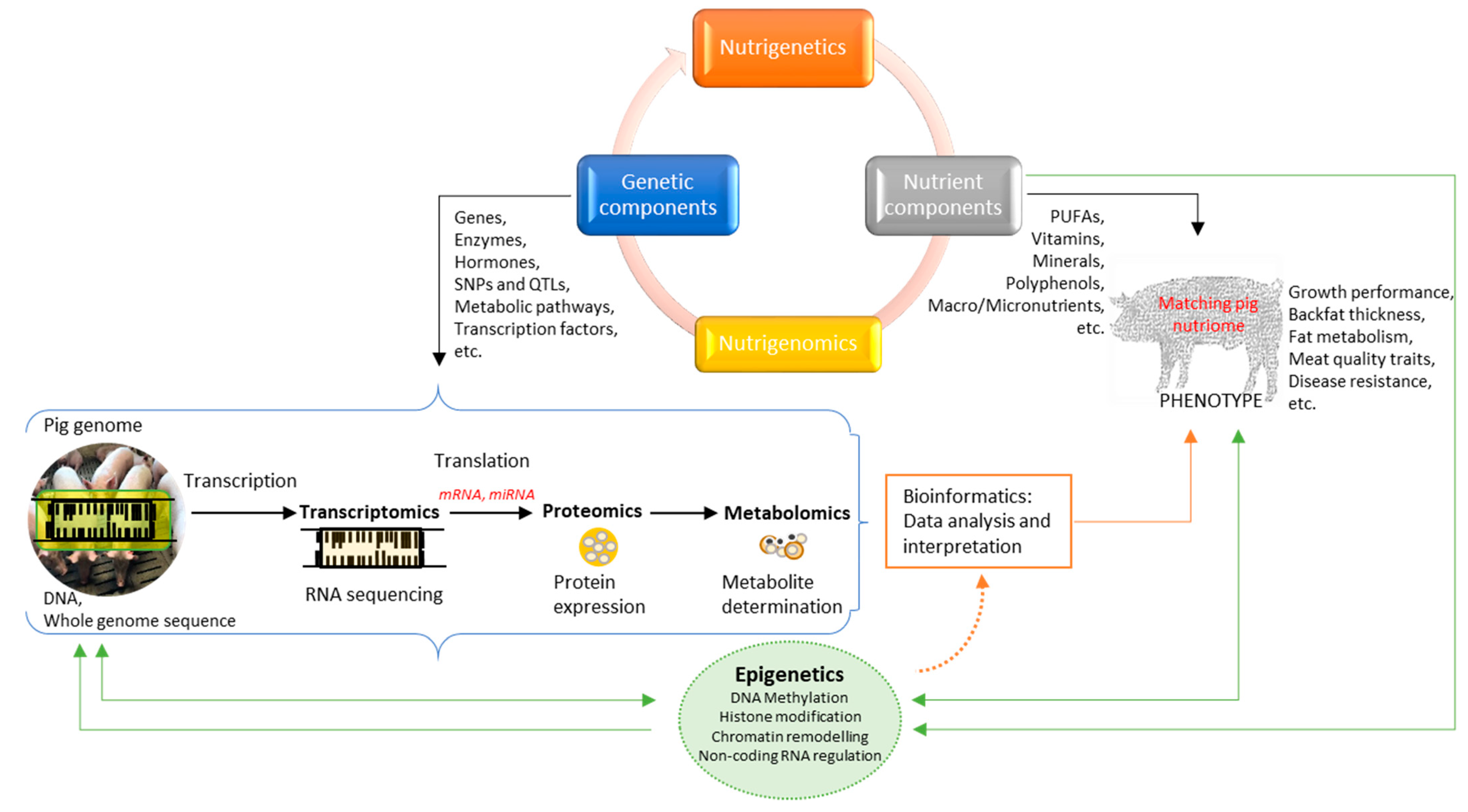 Animals 12 00150 g004 Animals 12 00150 g004