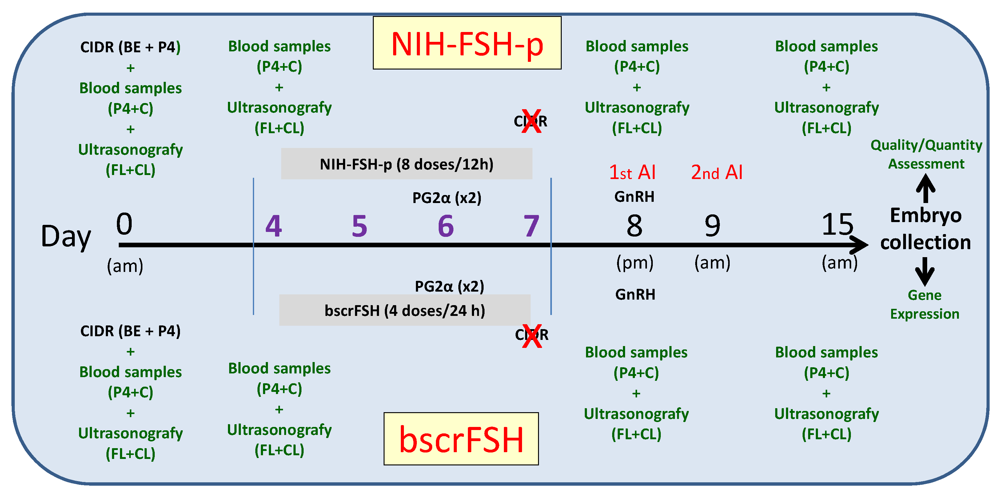 Animals 12 00153 g001