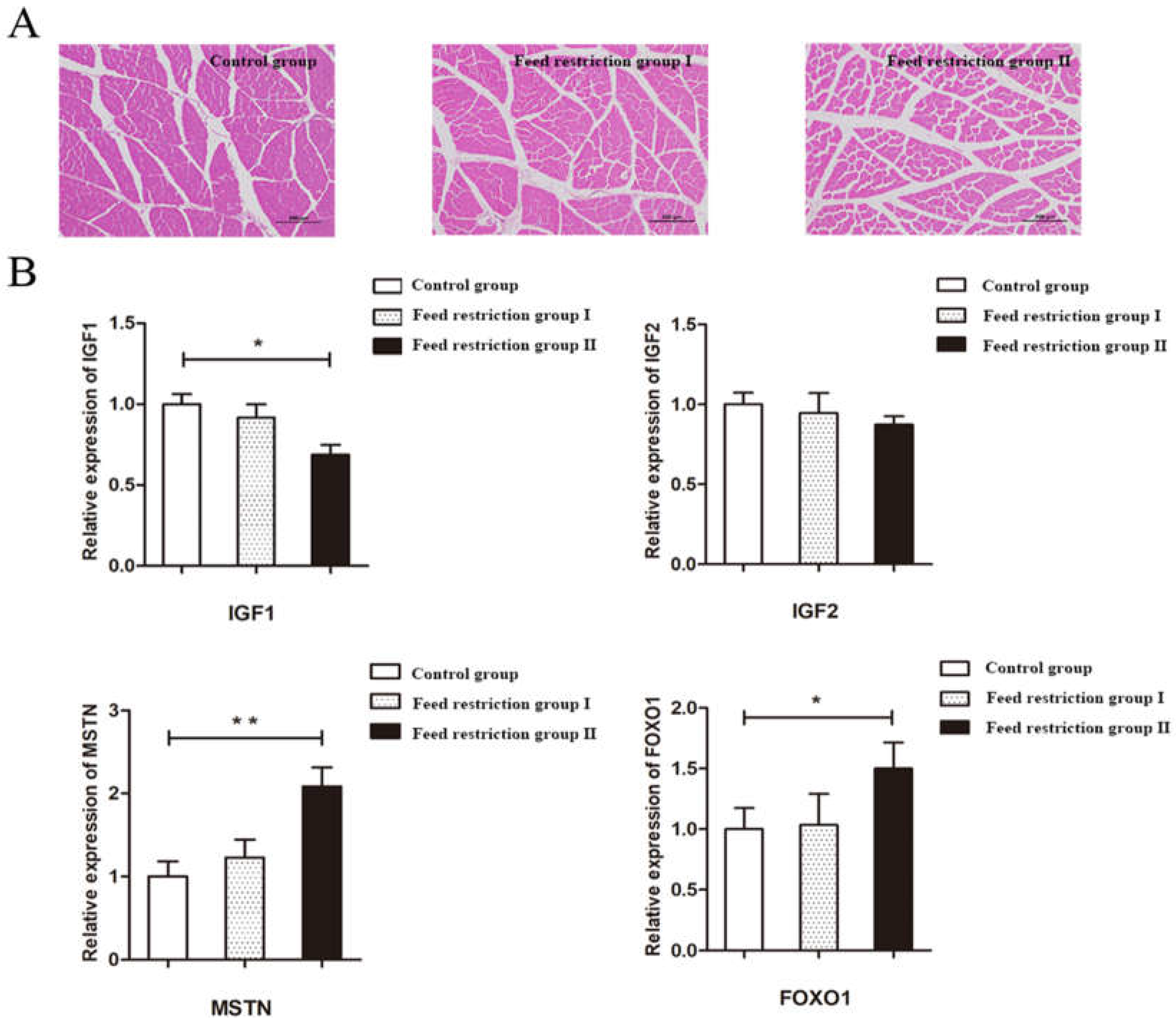 Animals 12 00160 g001