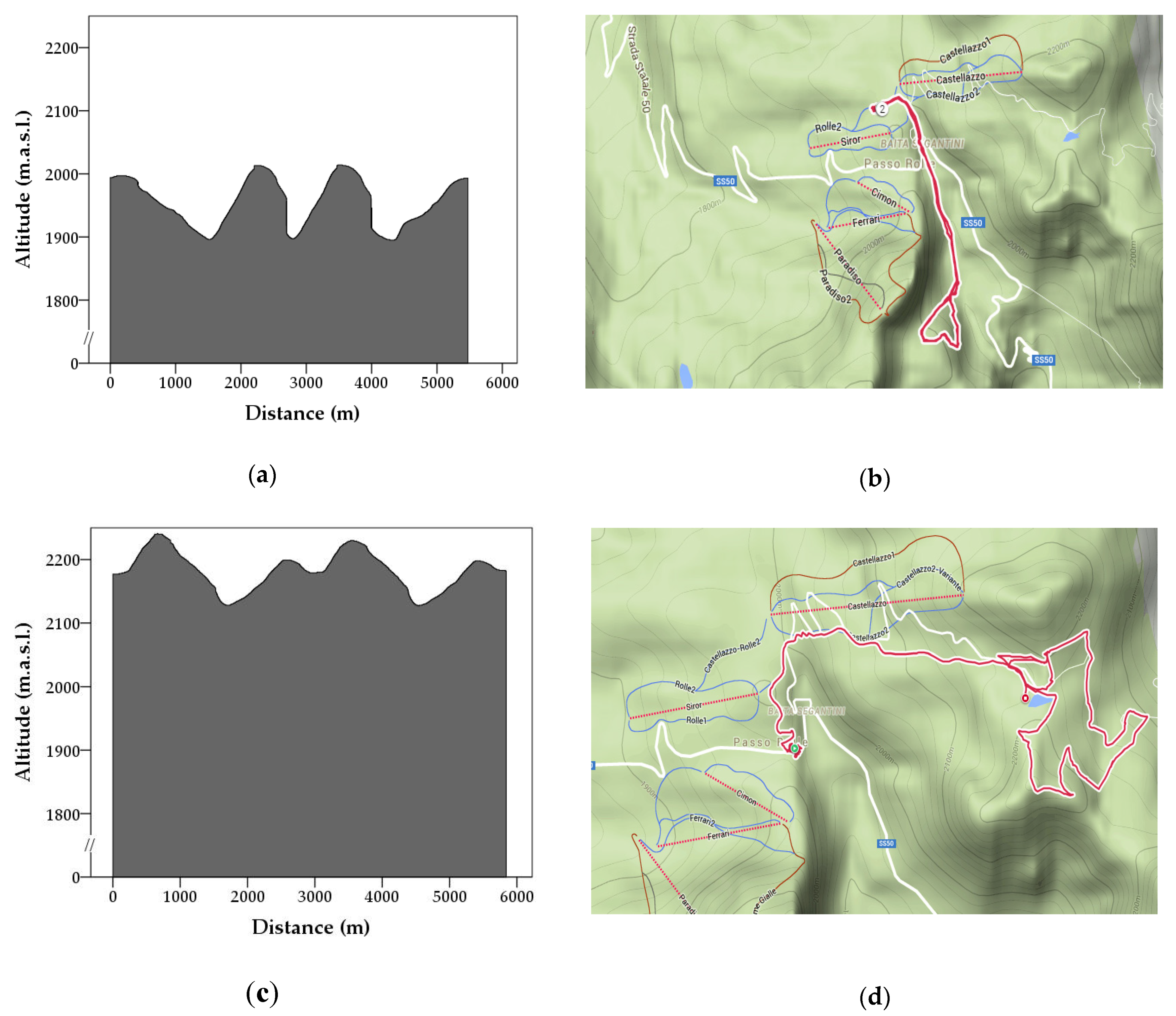 Animals 12 00168 g001