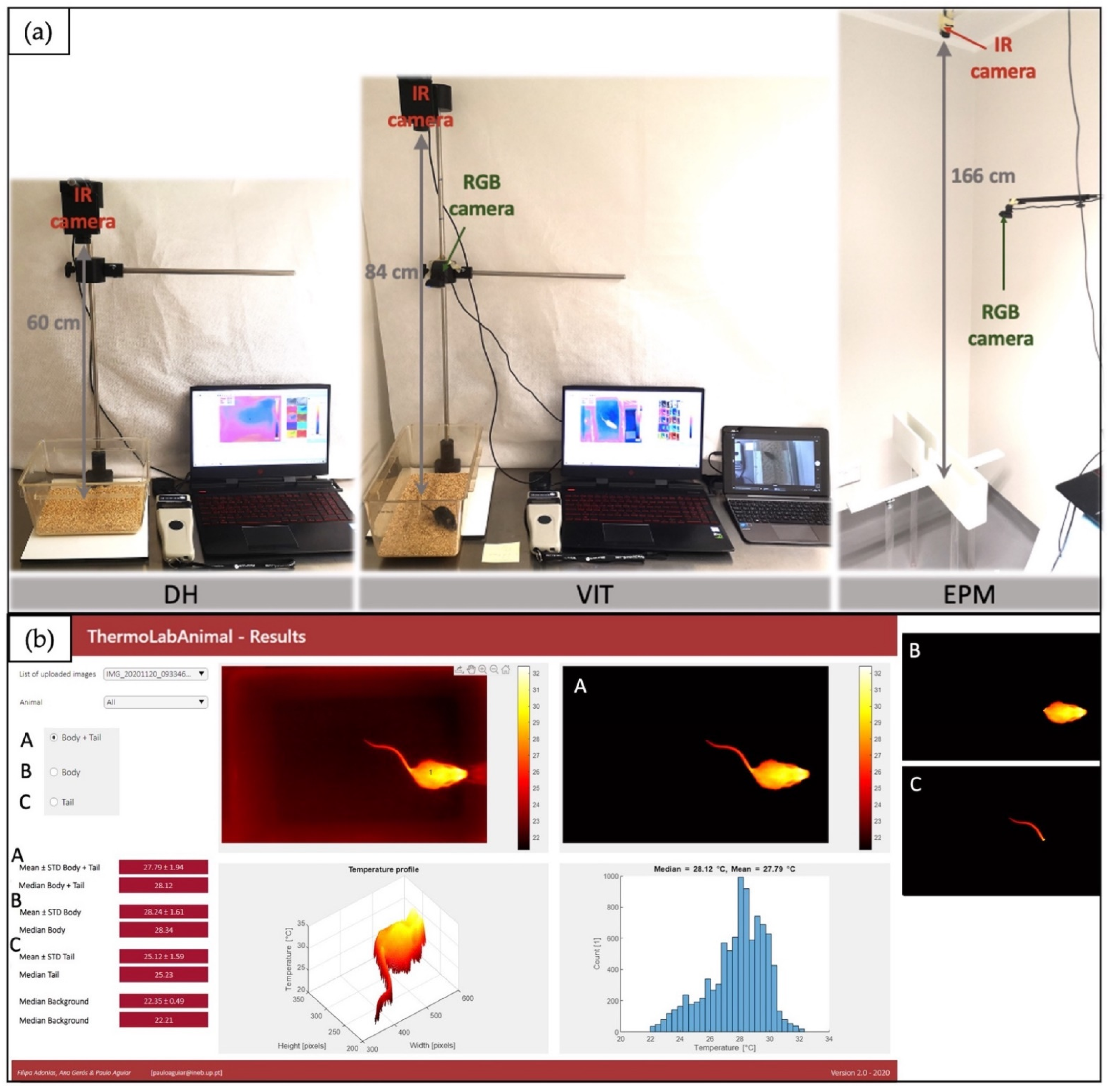 Animals 12 00177 g002 550