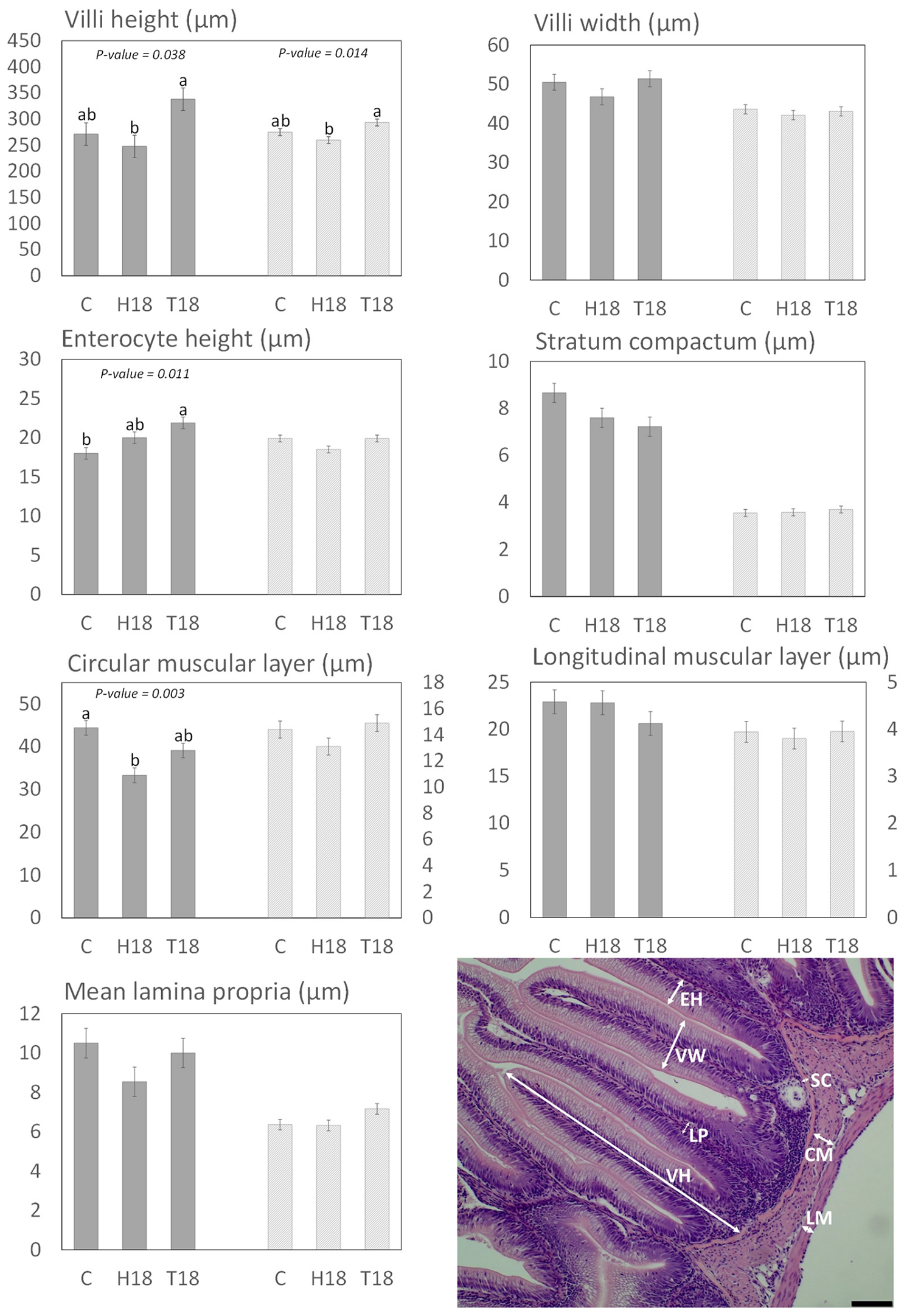 Animals 12 00179 g001