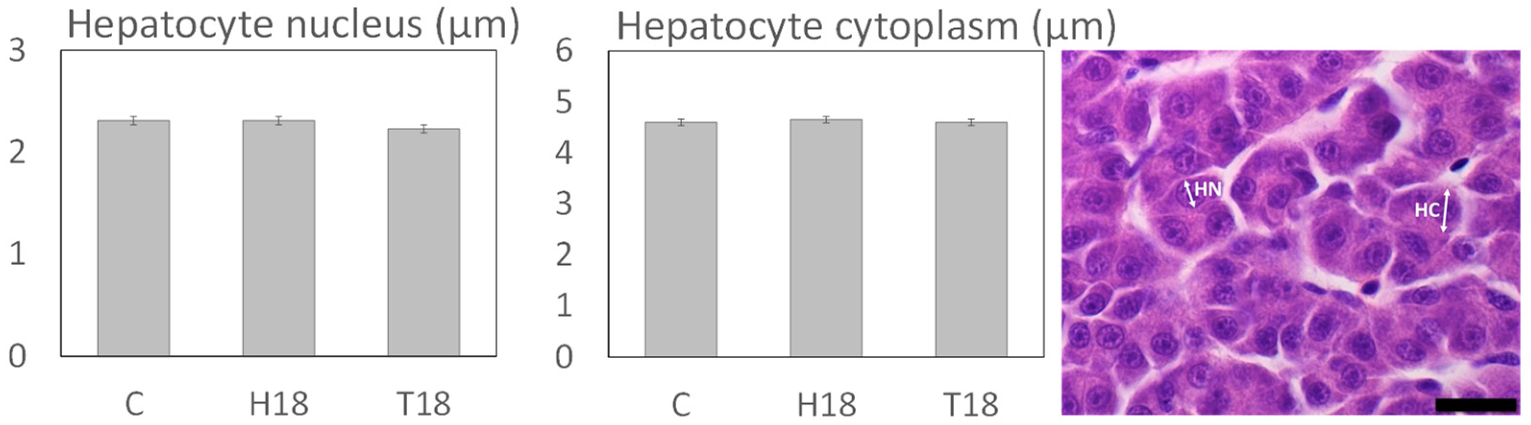 Animals 12 00179 g003